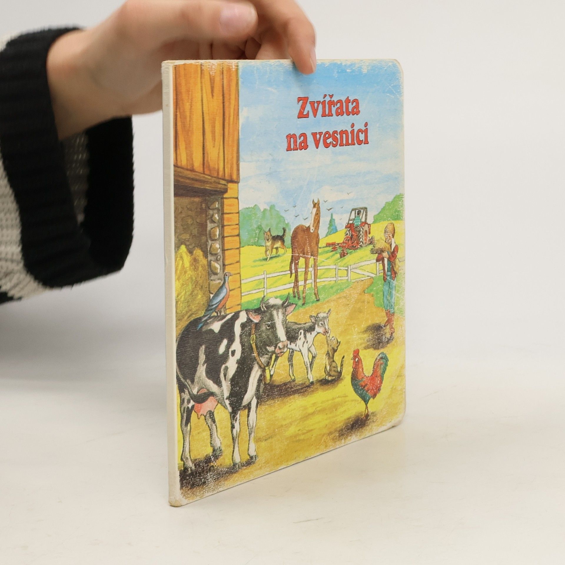 Zvířata na vesnici