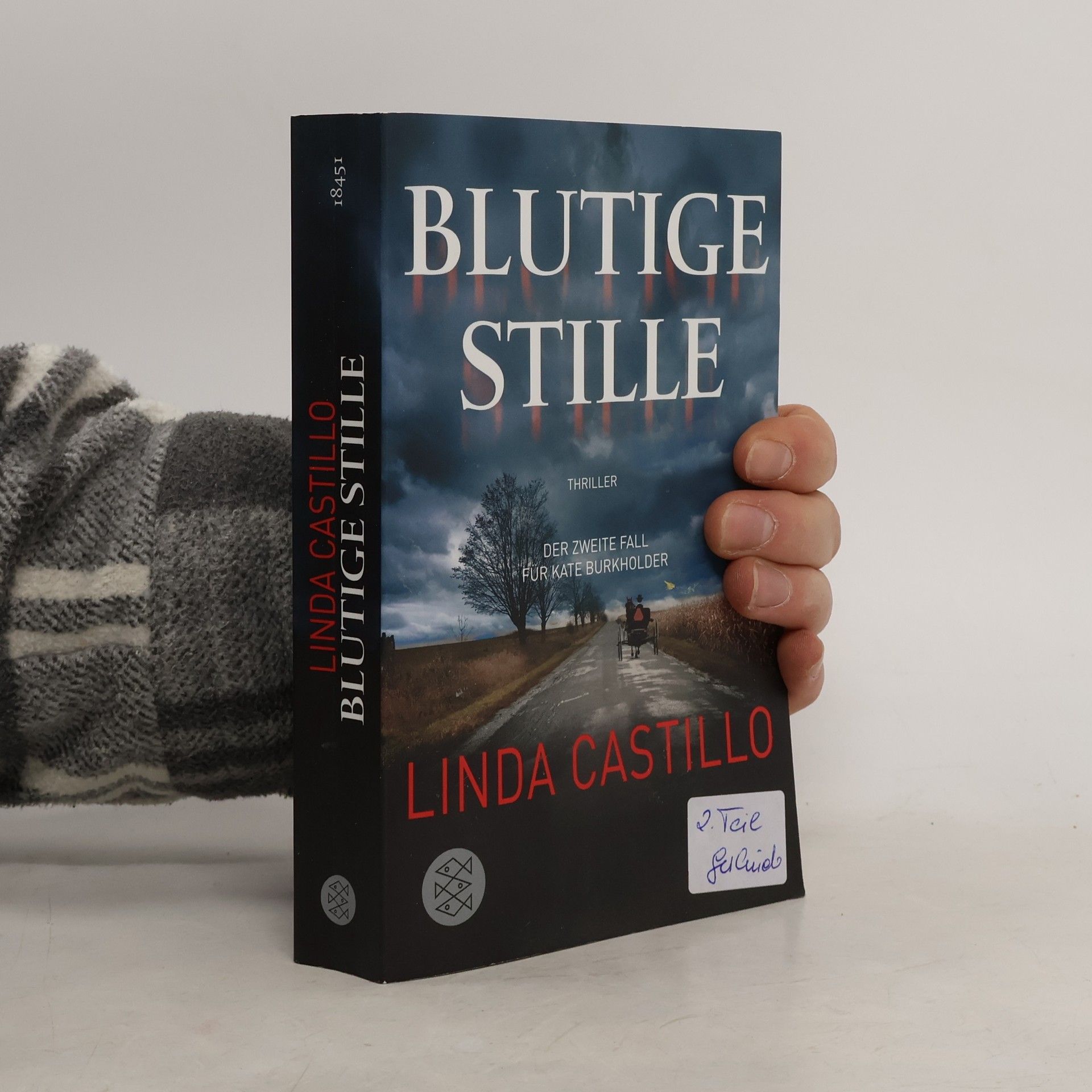 Linda Castillo Blutige Stille