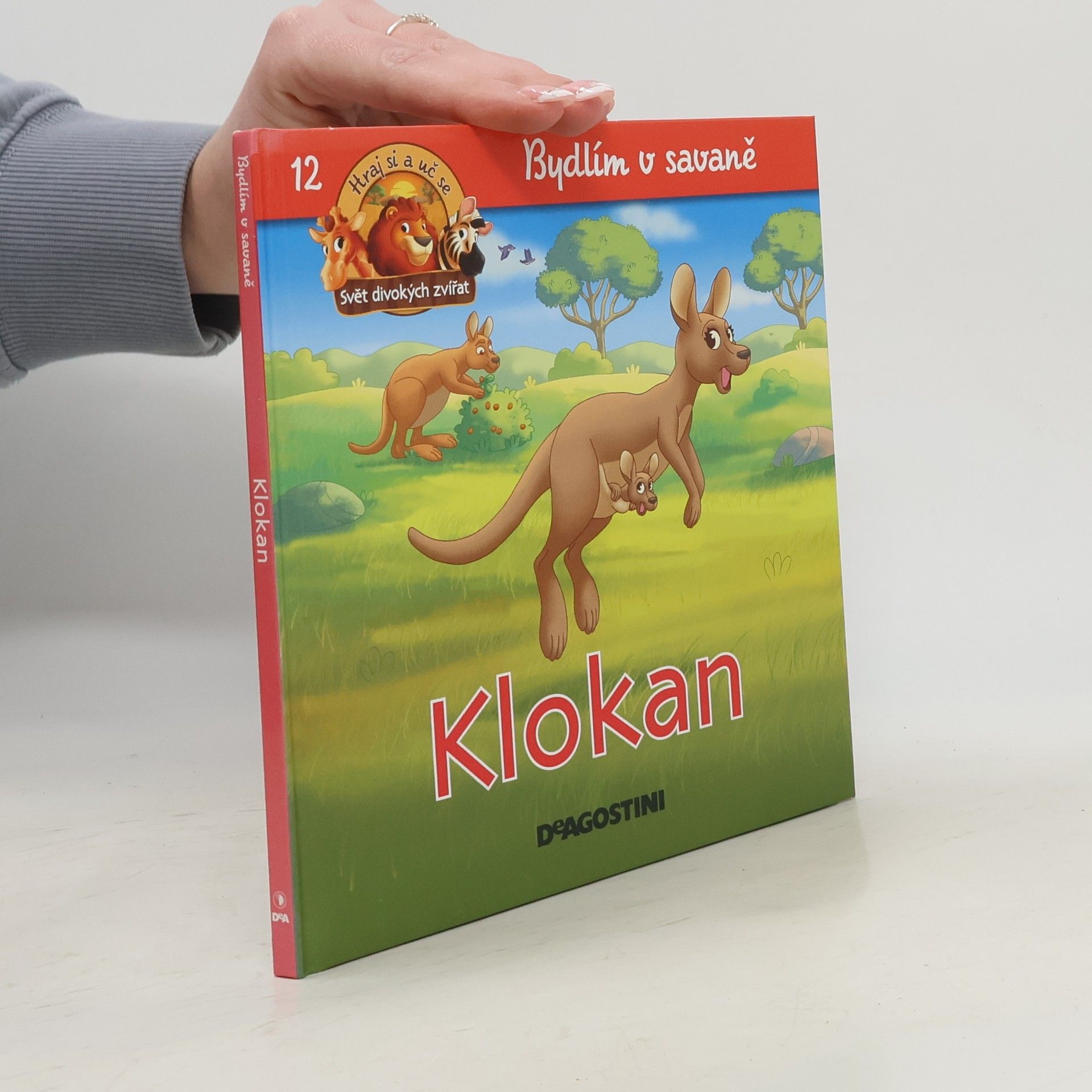 Kolektiv autorů Bydlím v savaně 12. Klokan