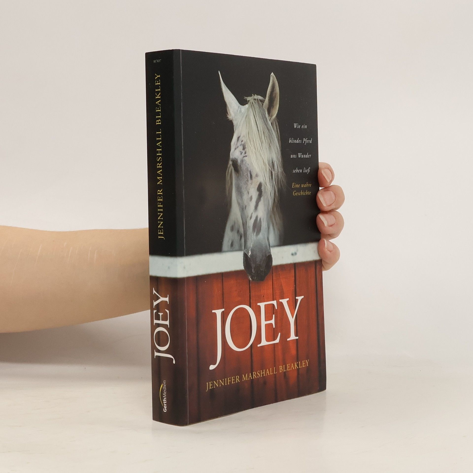 Jennifer Marshall Bleakley Joey - Wie ein blindes Pferd uns Wunder sehen ließ