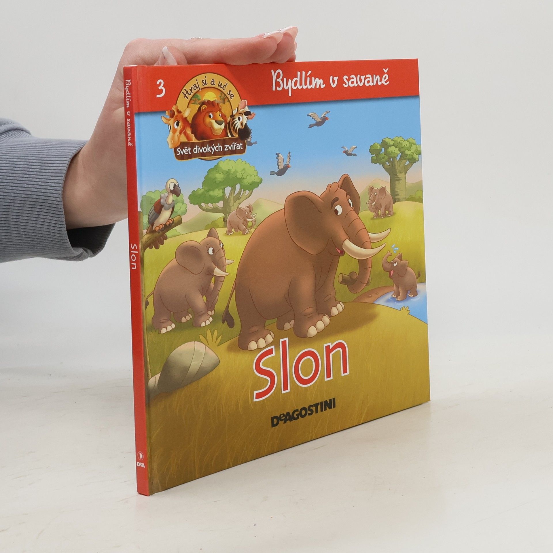 Kolektiv autorů Bydlím v savaně 3. Slon