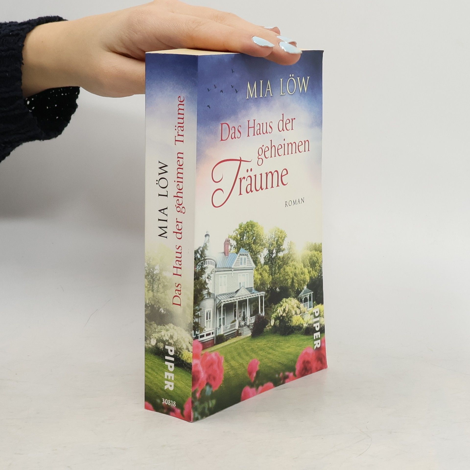 Mia Löw Das Haus der geheimen Träume