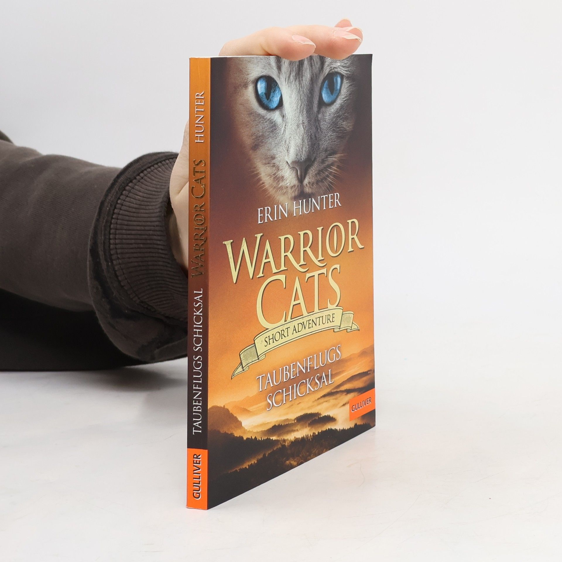 Erin Hunter Taubenflugs Schicksal