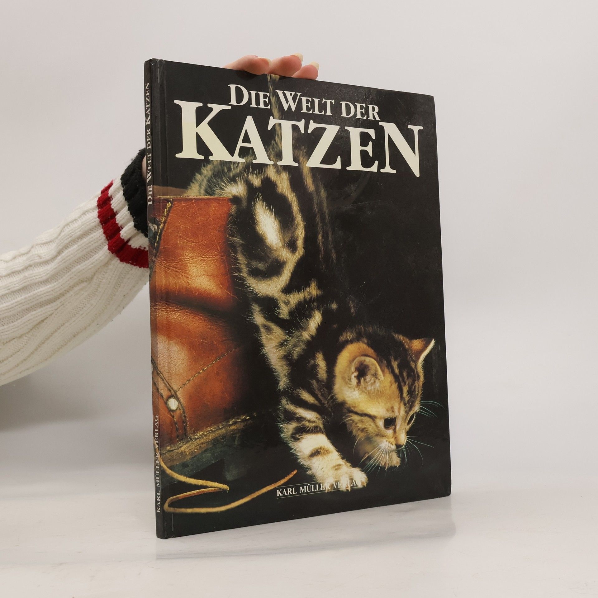 Kolektiv autorů Die Welt der Katzen