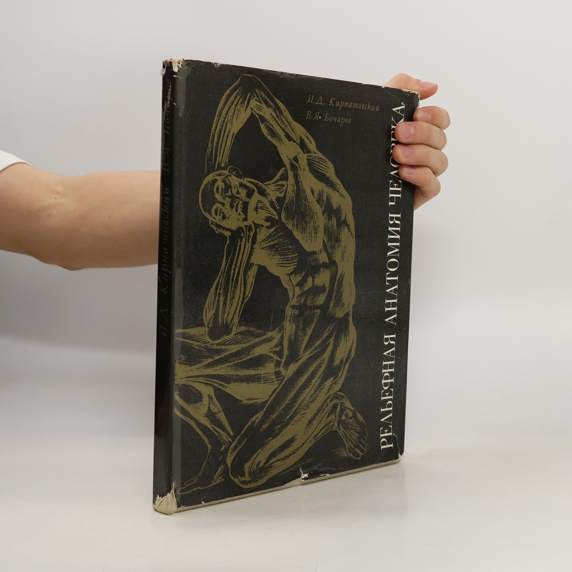 И.Д. Кирпатовский  Рельефная анатомия человека