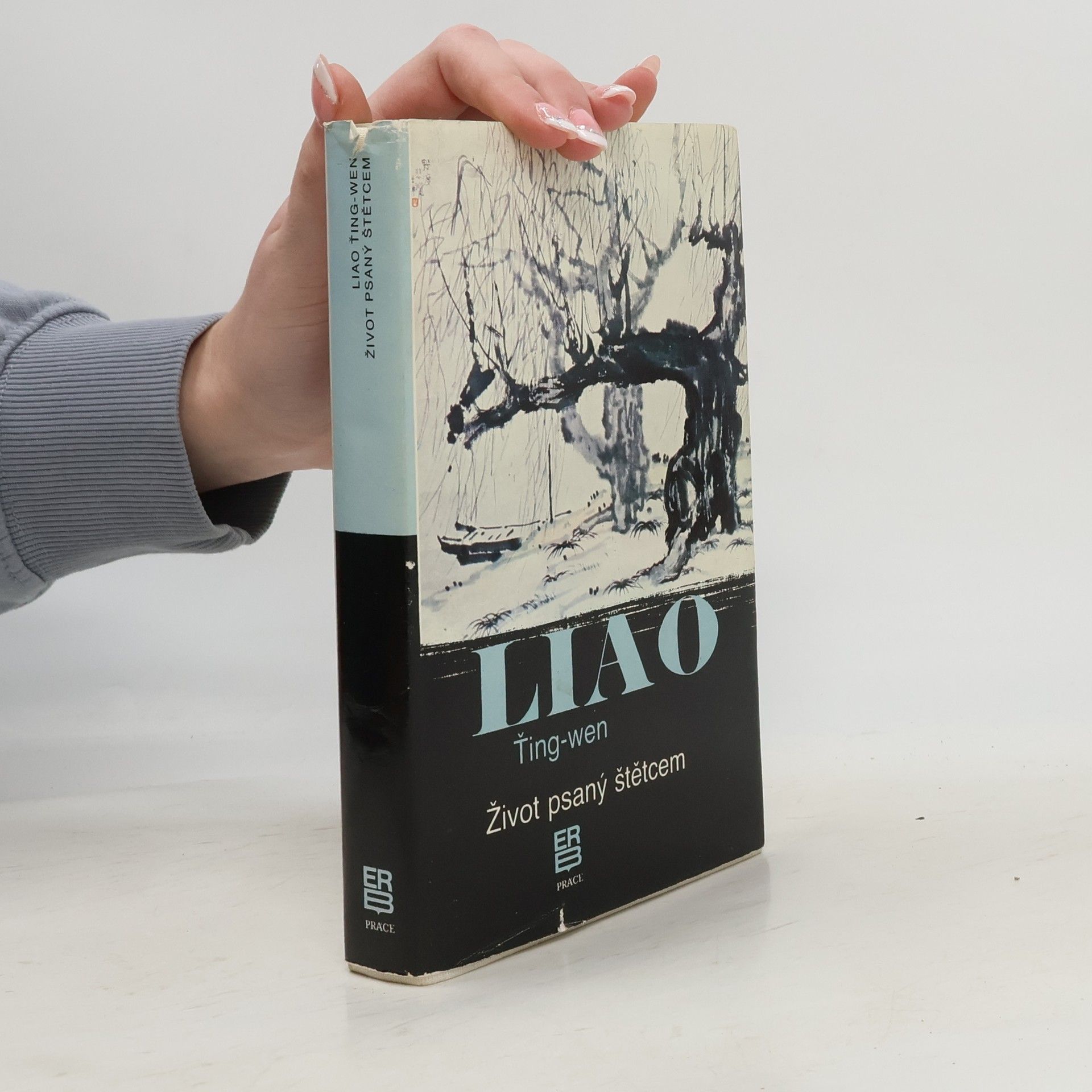 Ťing wen Liao Život psaný štětcem