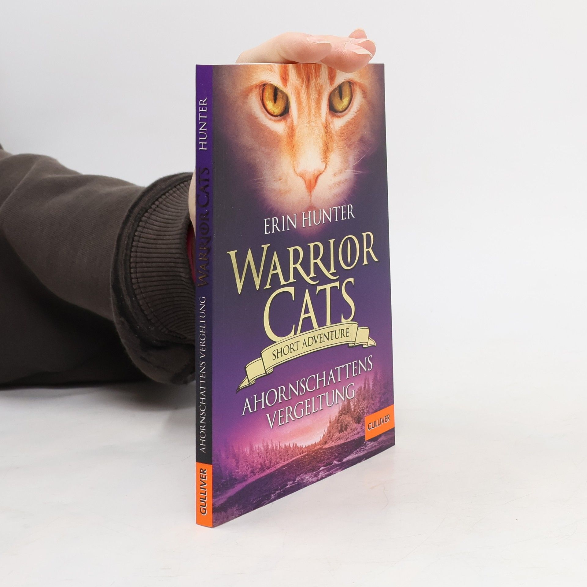 Erin Hunter Ahornschattens Vergeltung