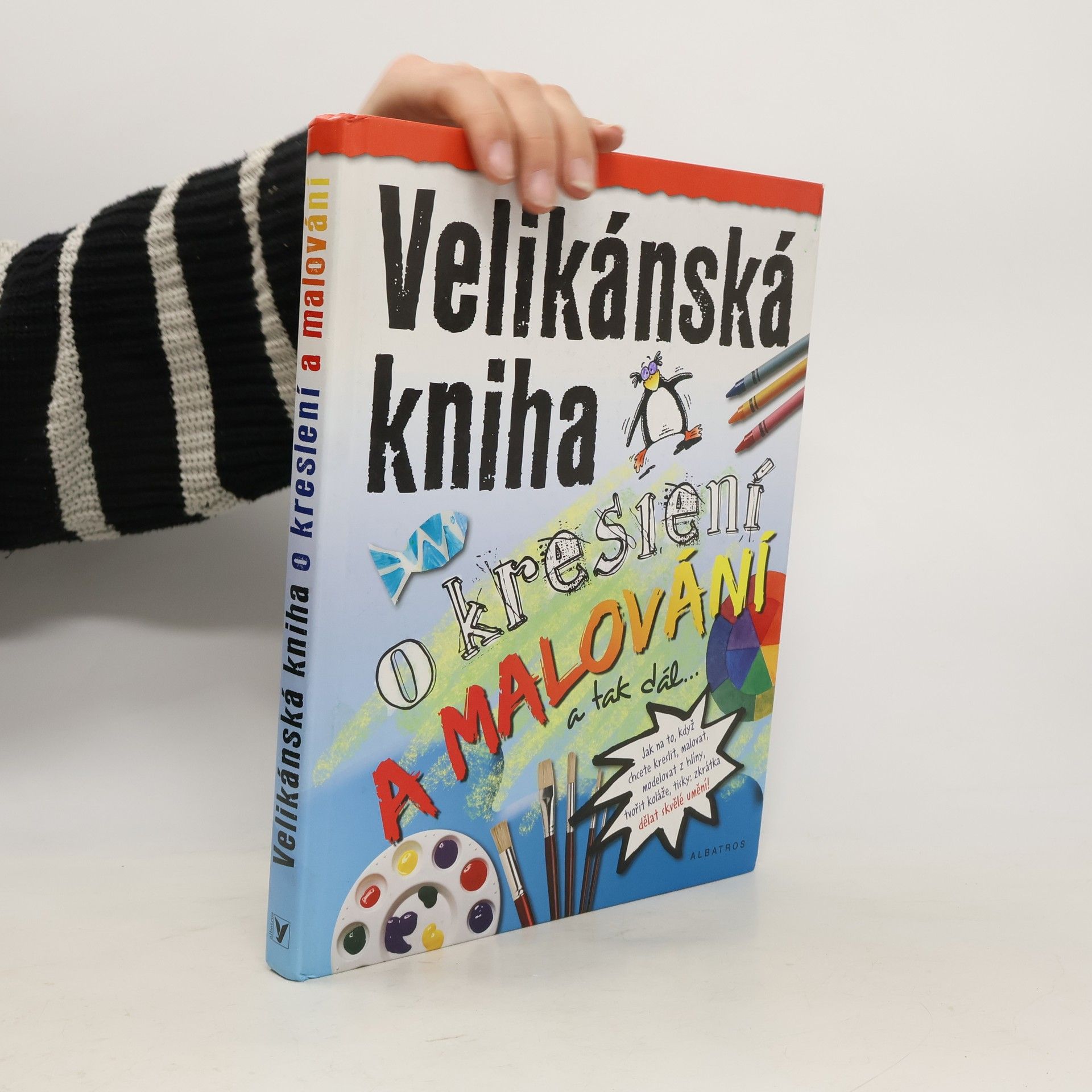 Sue Nicholson Velikánská kniha o kreslení a malování a tak dál--