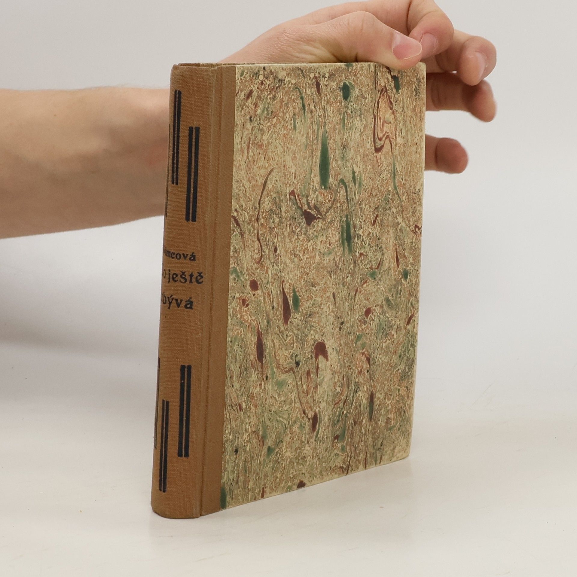 Božena Němcová Co ještě zbývá