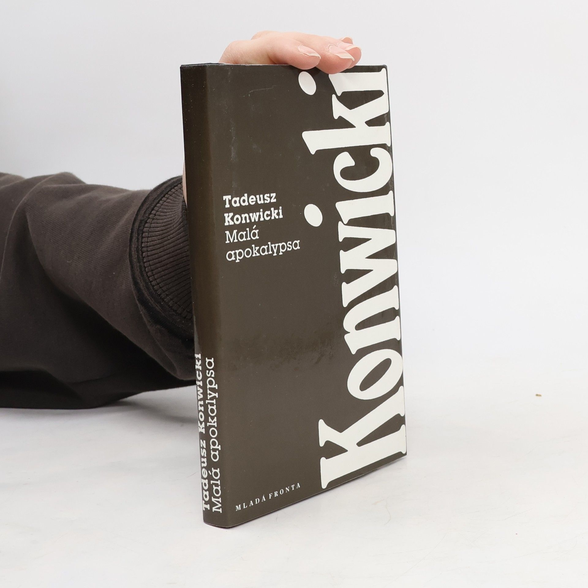 Tadeusz Konwicki Malá apokalypsa
