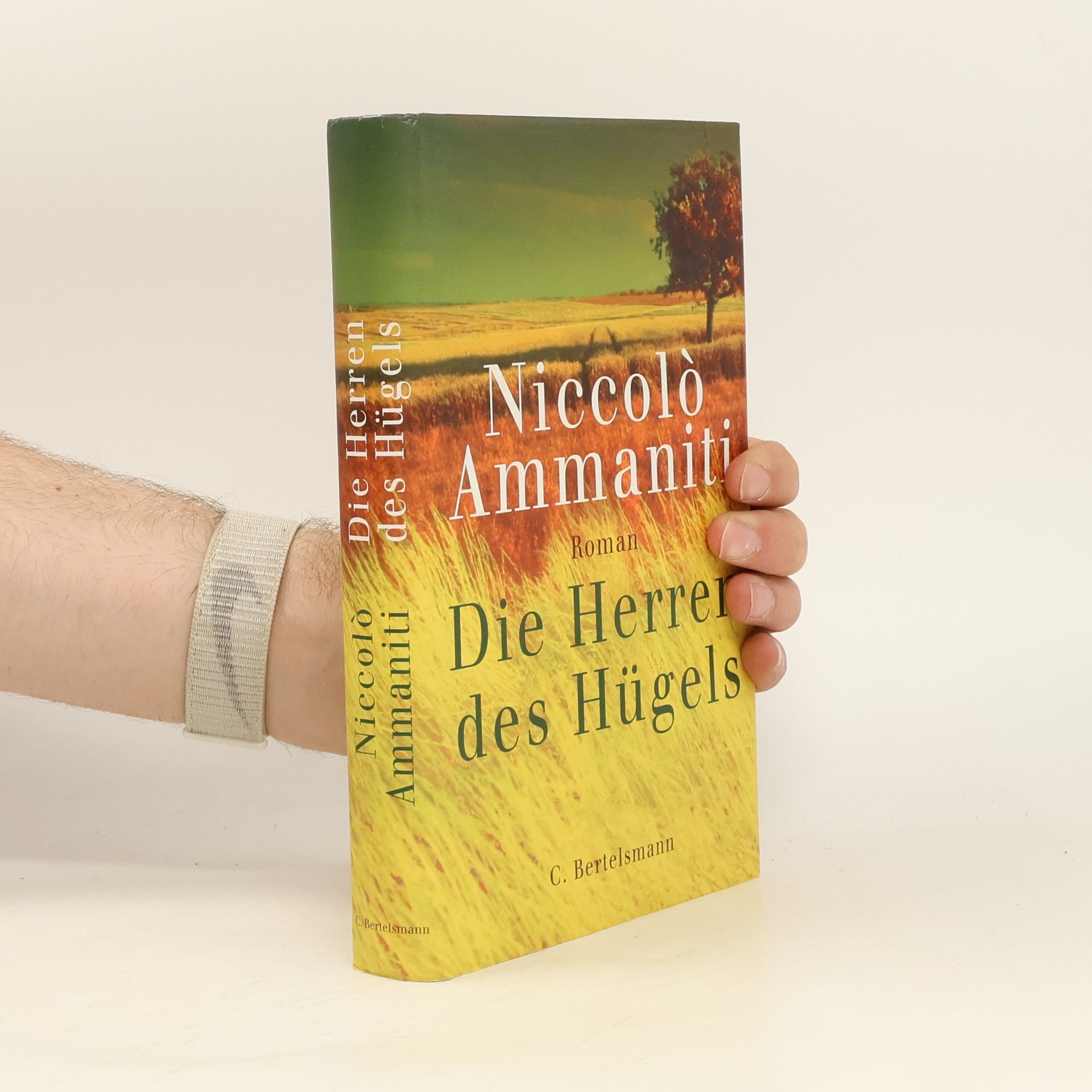 Niccolò Ammaniti Die Herren des Hügels