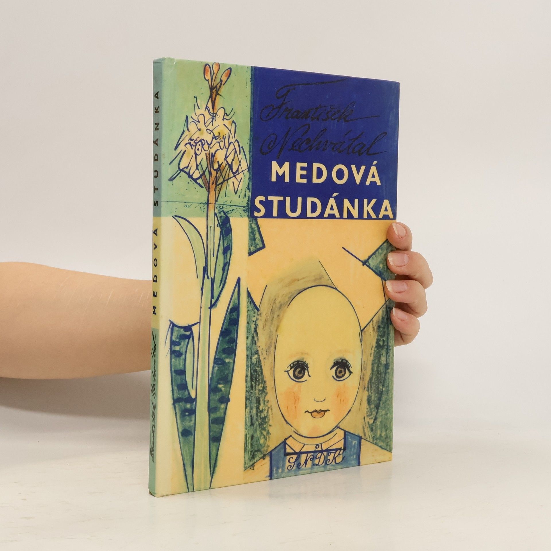 František Nechvátal Medová studánka