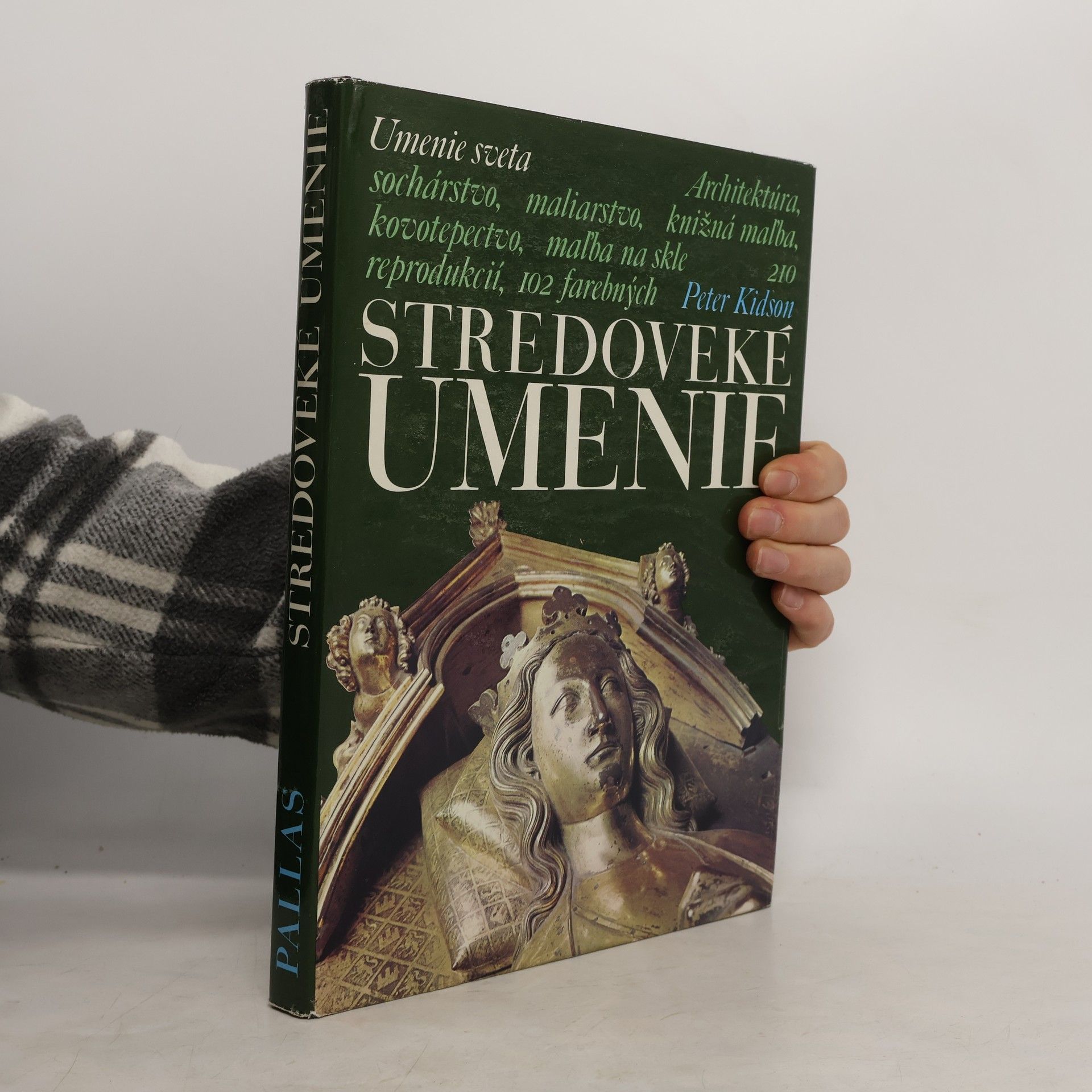 Peter Kidson Stredoveké umenie