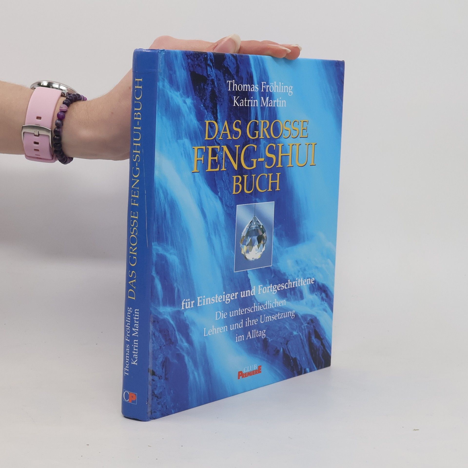 Das grosse Feng-Shui Buch