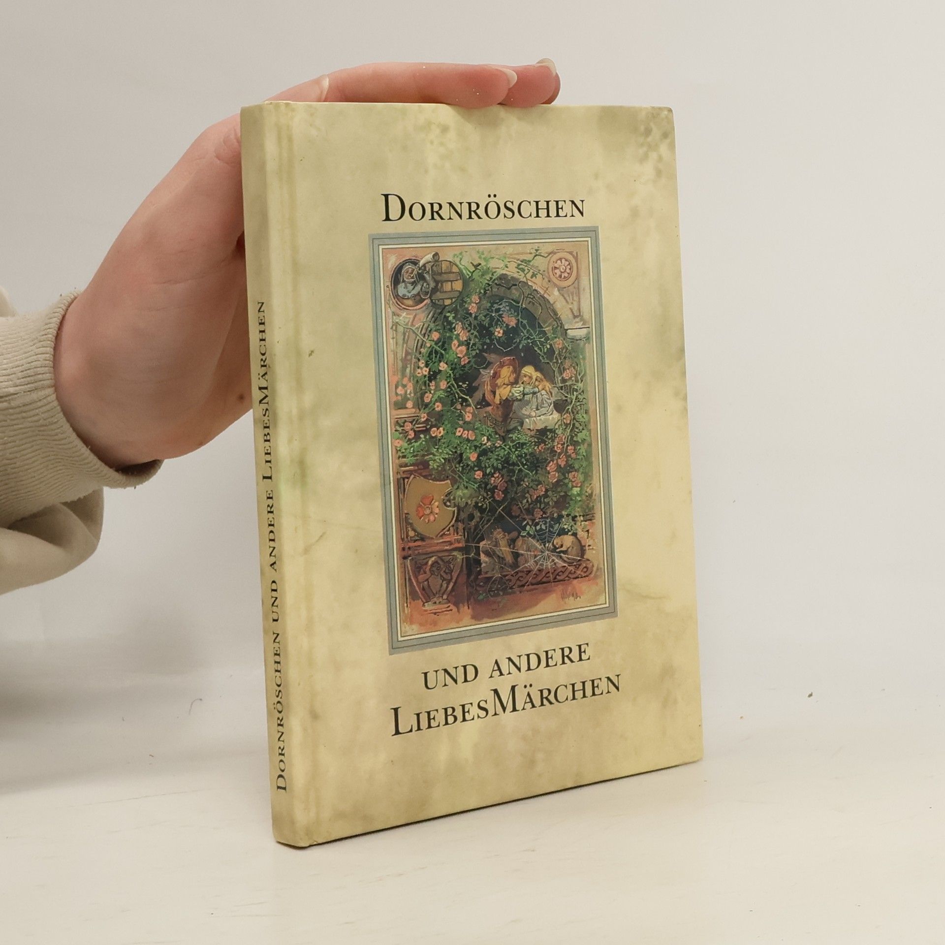 AA.VV. Dornröschen und andere Liebesmärchen