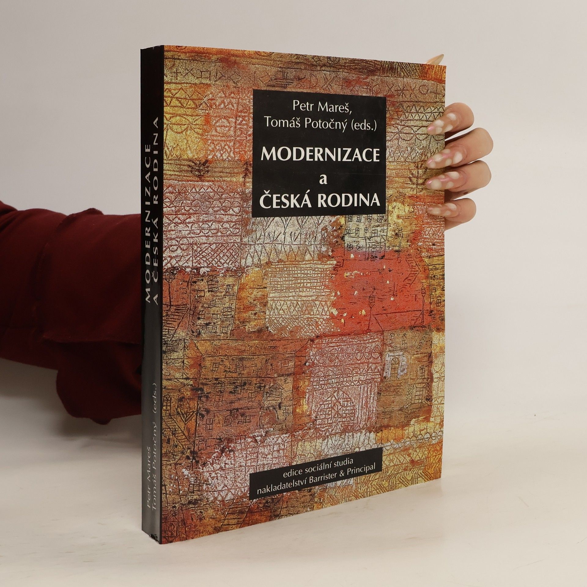 Modernizace a česká rodina