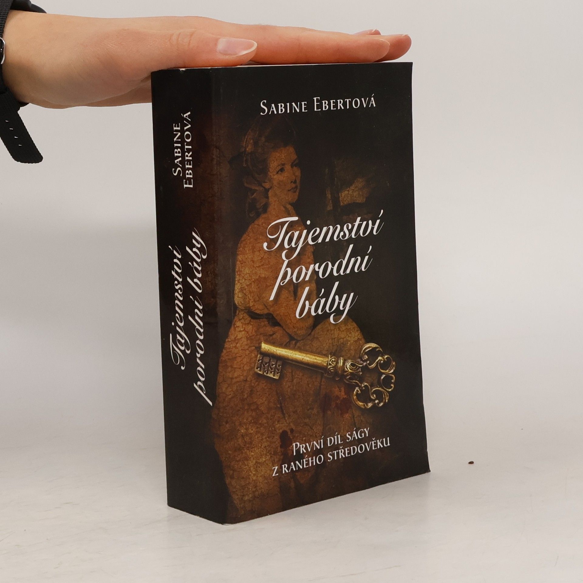 Sabine Ebert Tajemství porodní báby