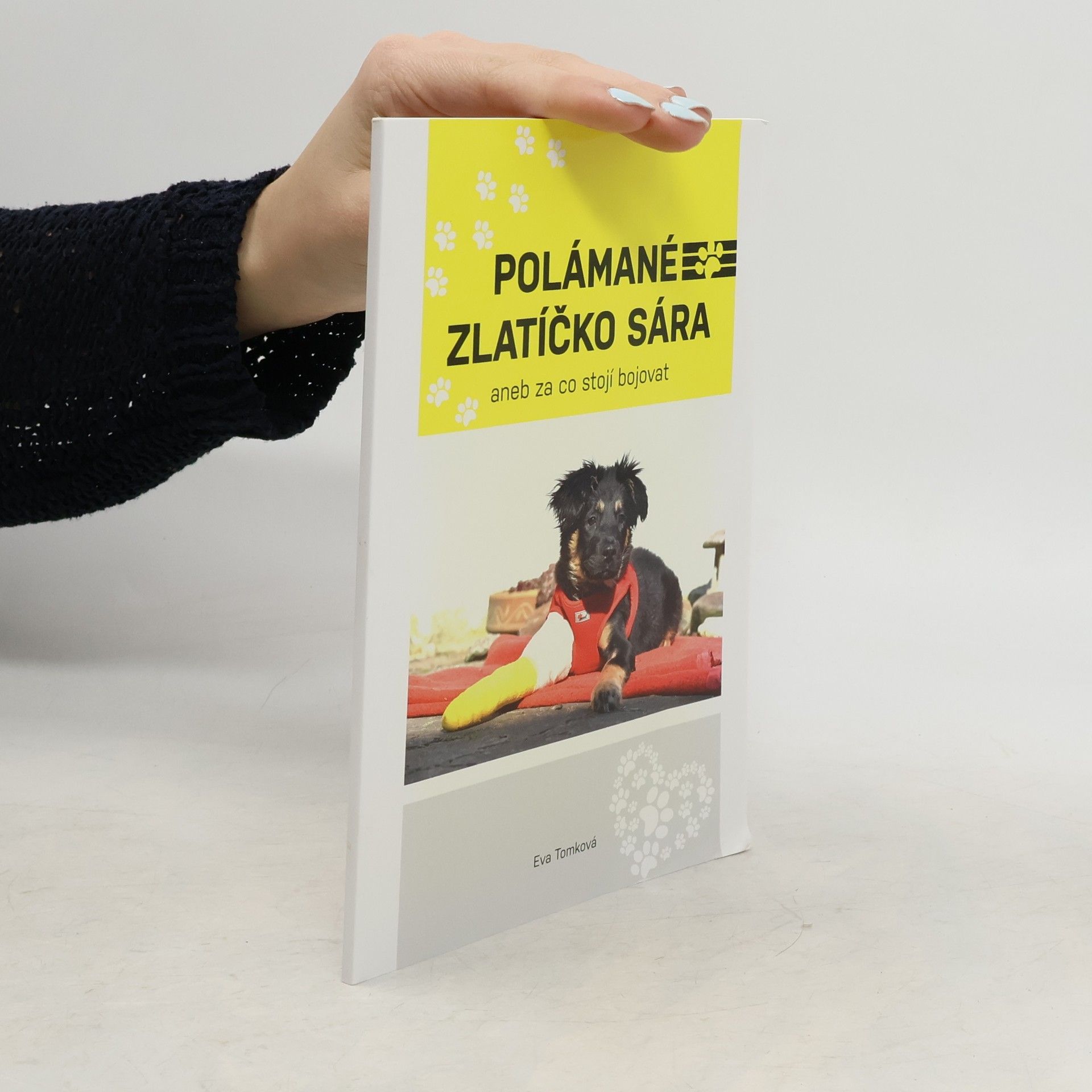 Eva Tomková Polámané zlatíčko Sára, aneb, Za co stojí bojovat