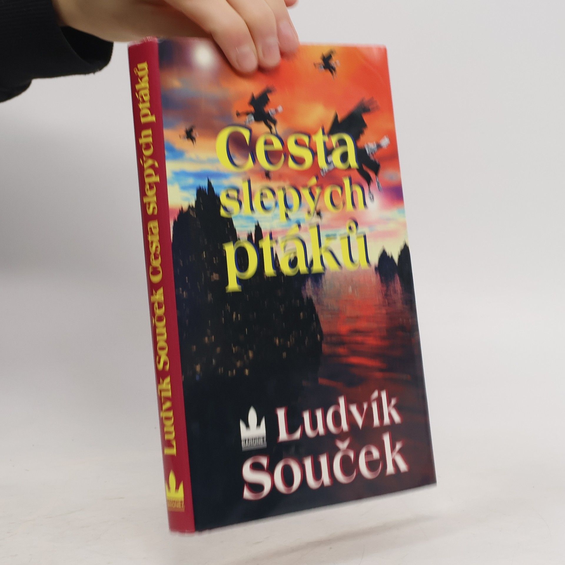 Ludvík Souček Cesta slepých ptáků