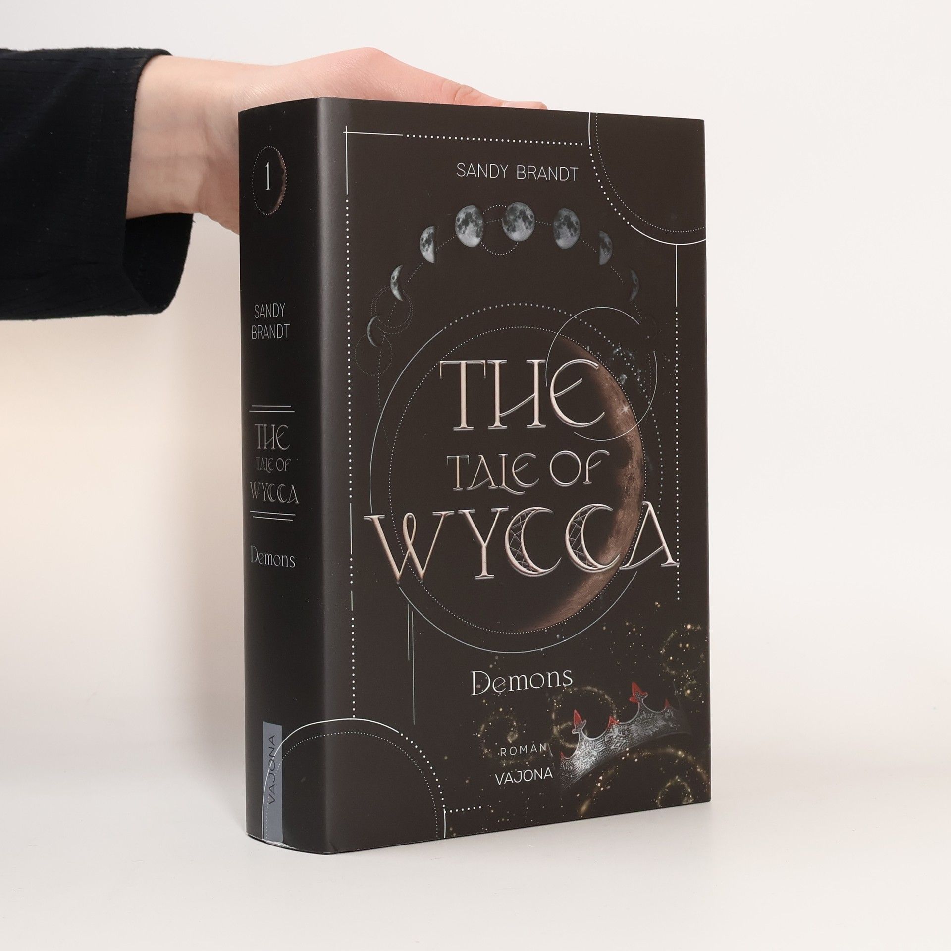 Sandy Brandt THE TALE OF WYCCA: Demons (WYCCA-Reihe 1)