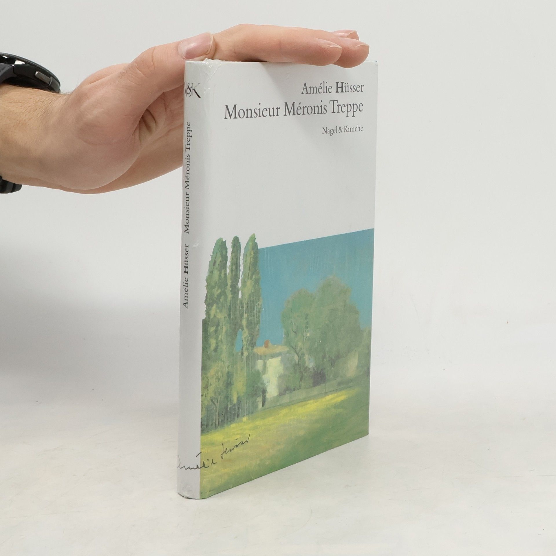 Amélie Hüsser Monsieur Méronis Treppe