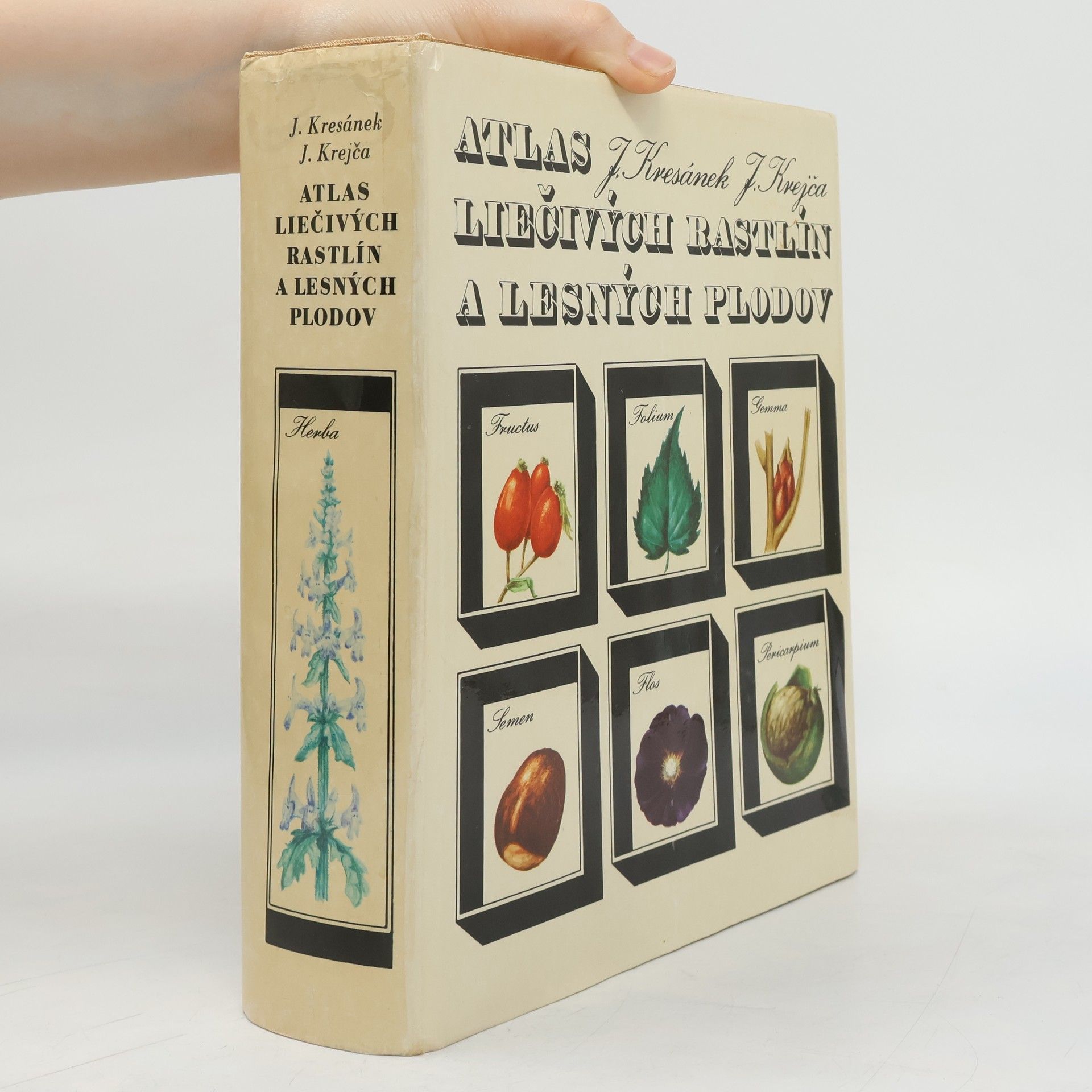 Atlas liečivých rastlína lesných plodov
