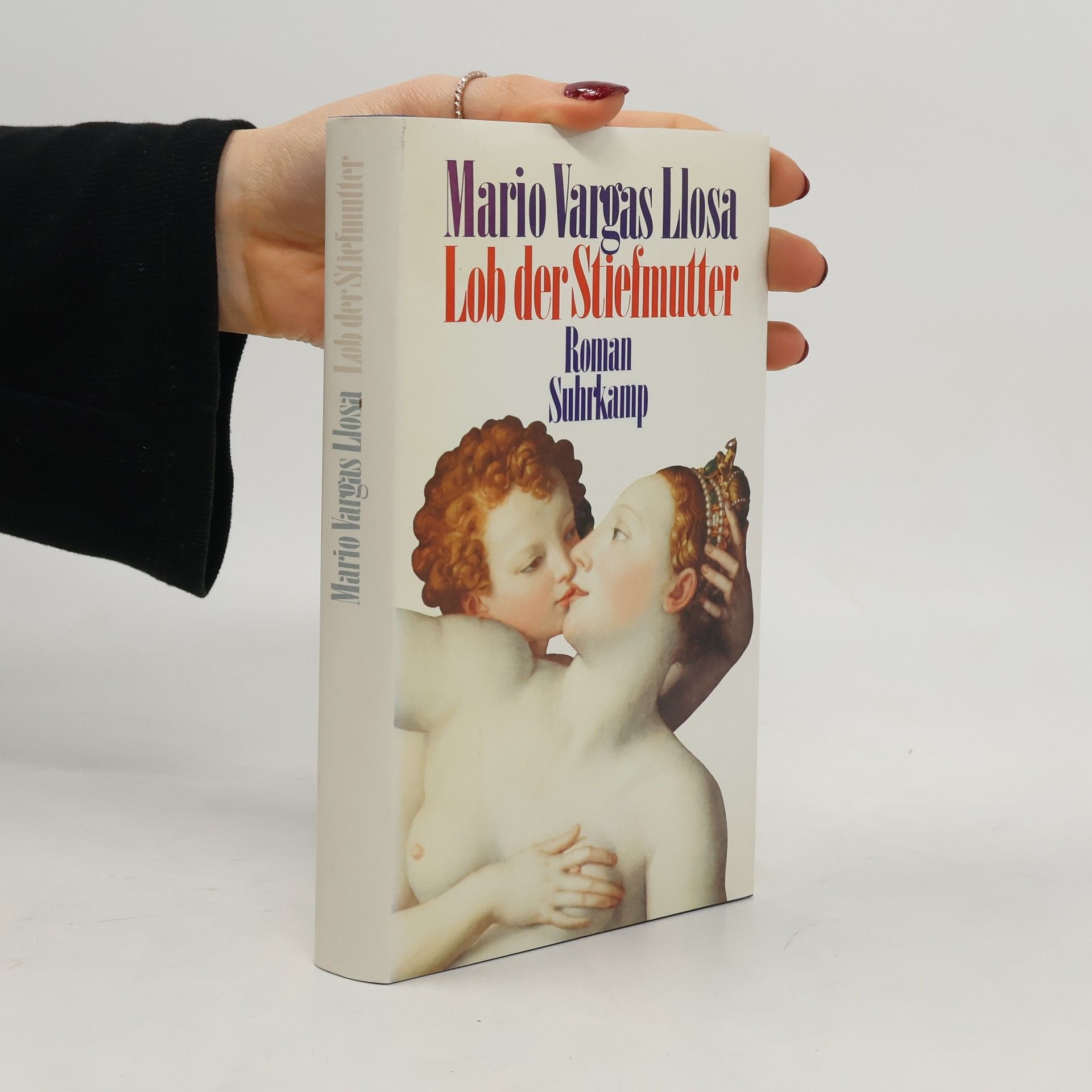 Mario Vargas Llosa Lob der Stiefmutter