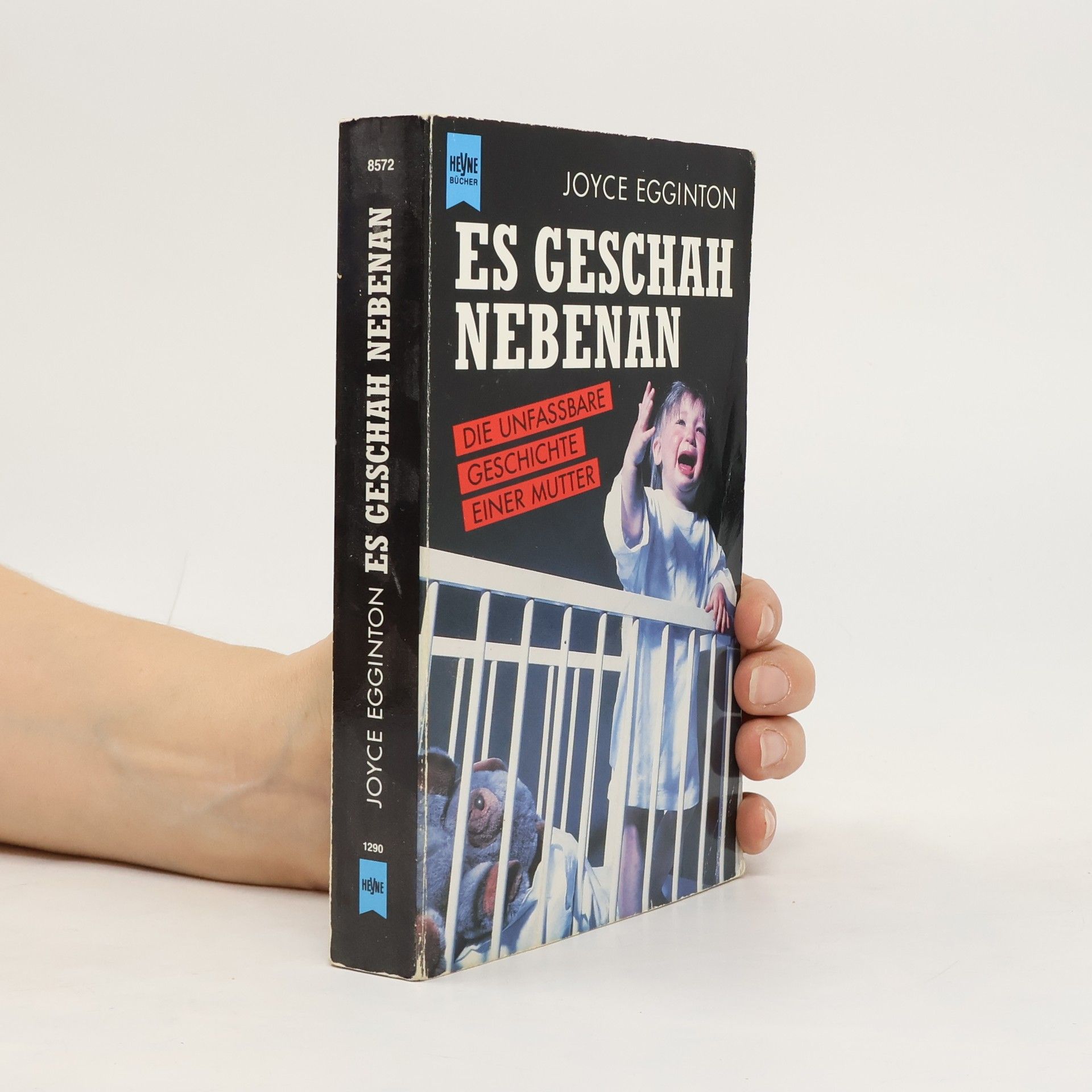 Joyce Egginton Es geschah nebenan