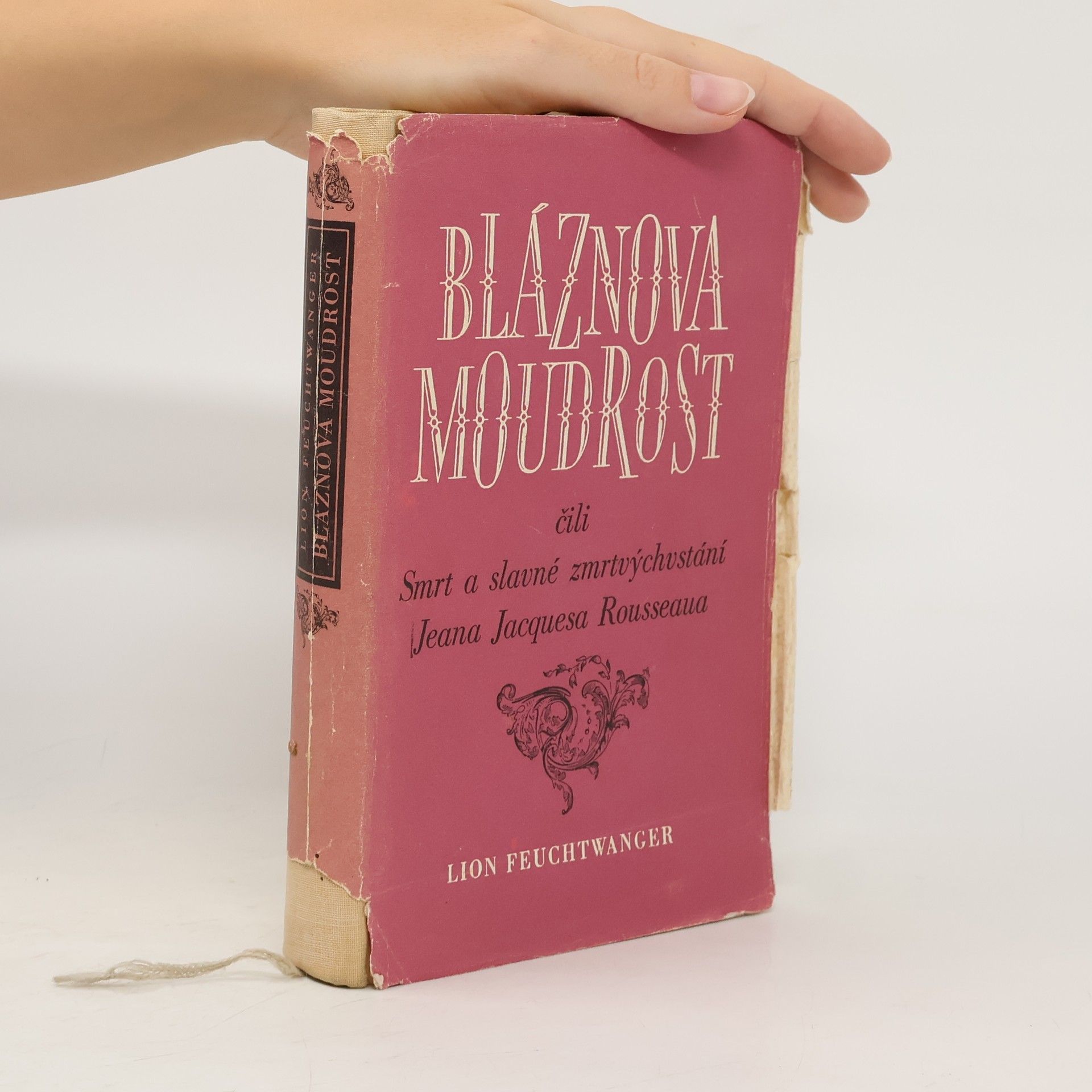 Lion Feuchtwanger Bláznova moudrost