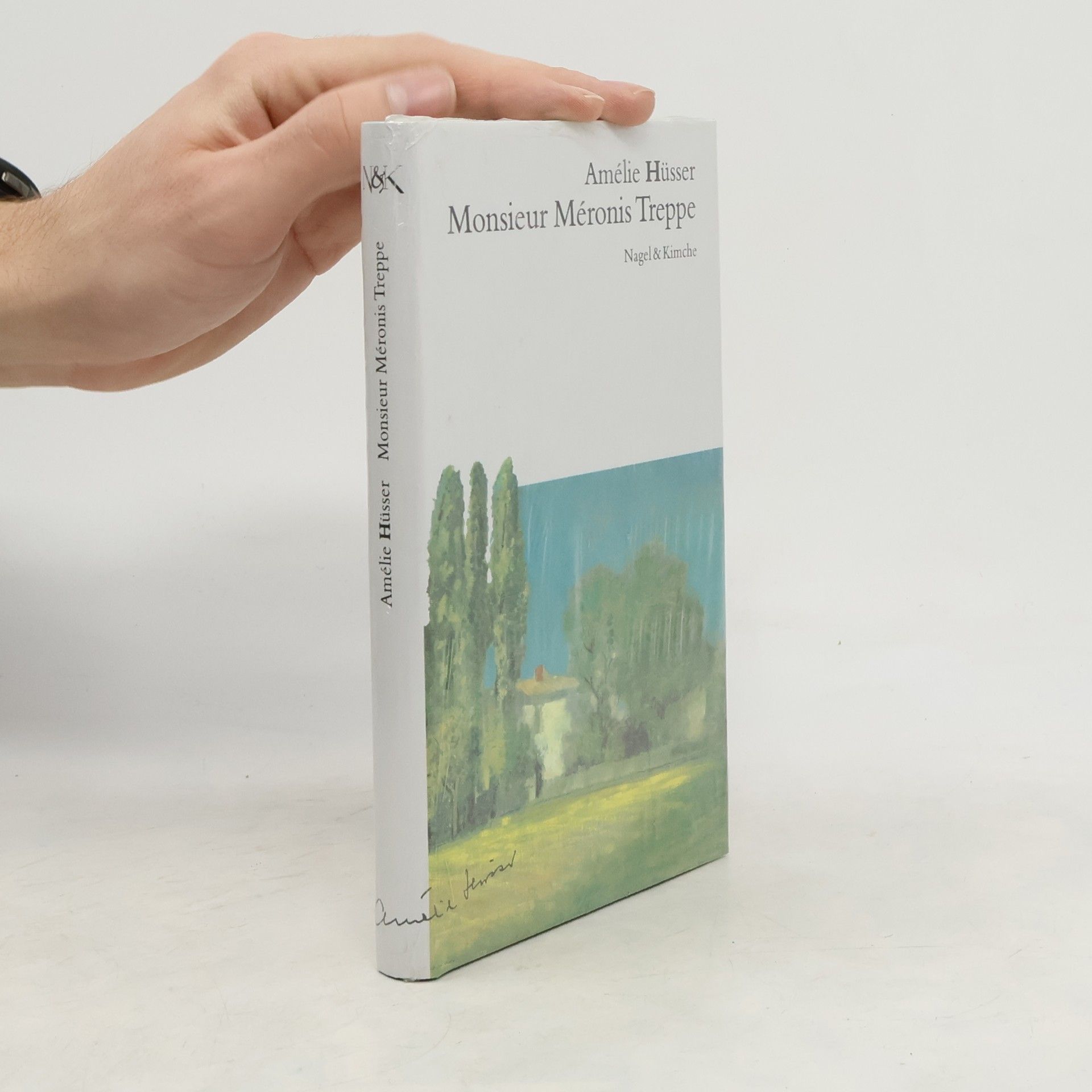 Amélie Hüsser Monsieur Méronis Treppe