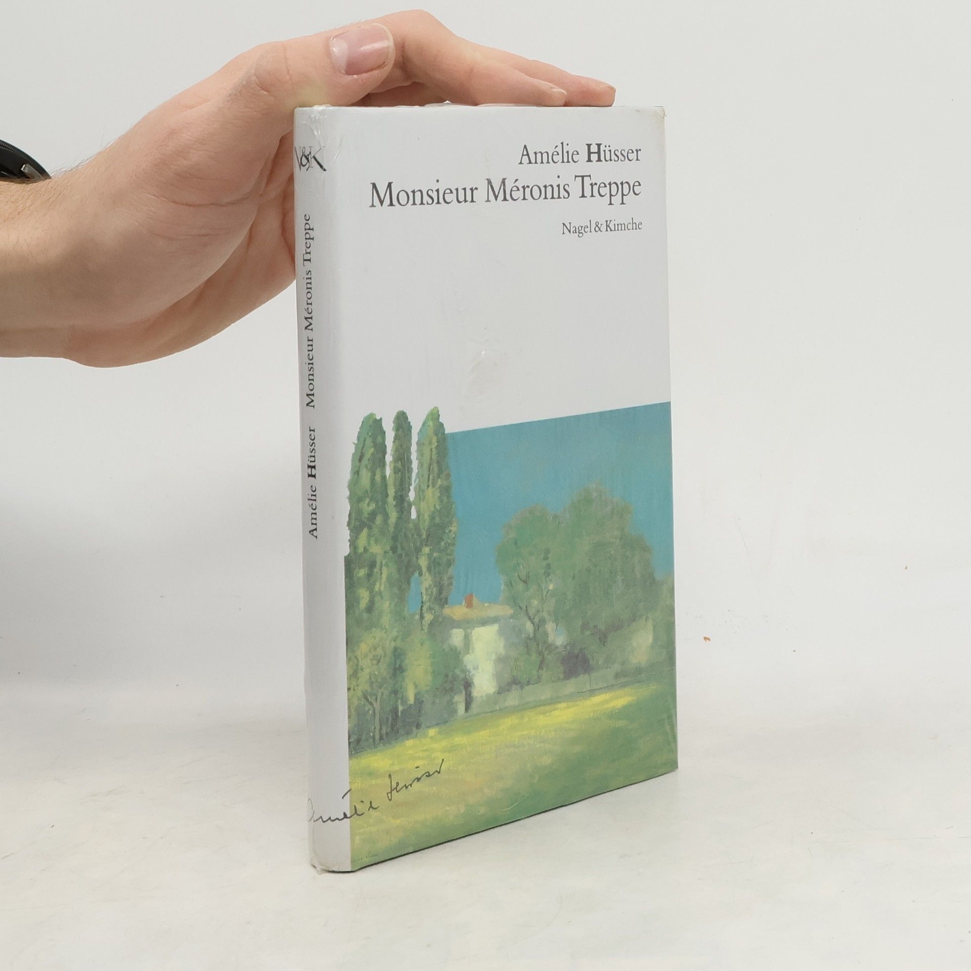 Amélie Hüsser Monsieur Méronis Treppe