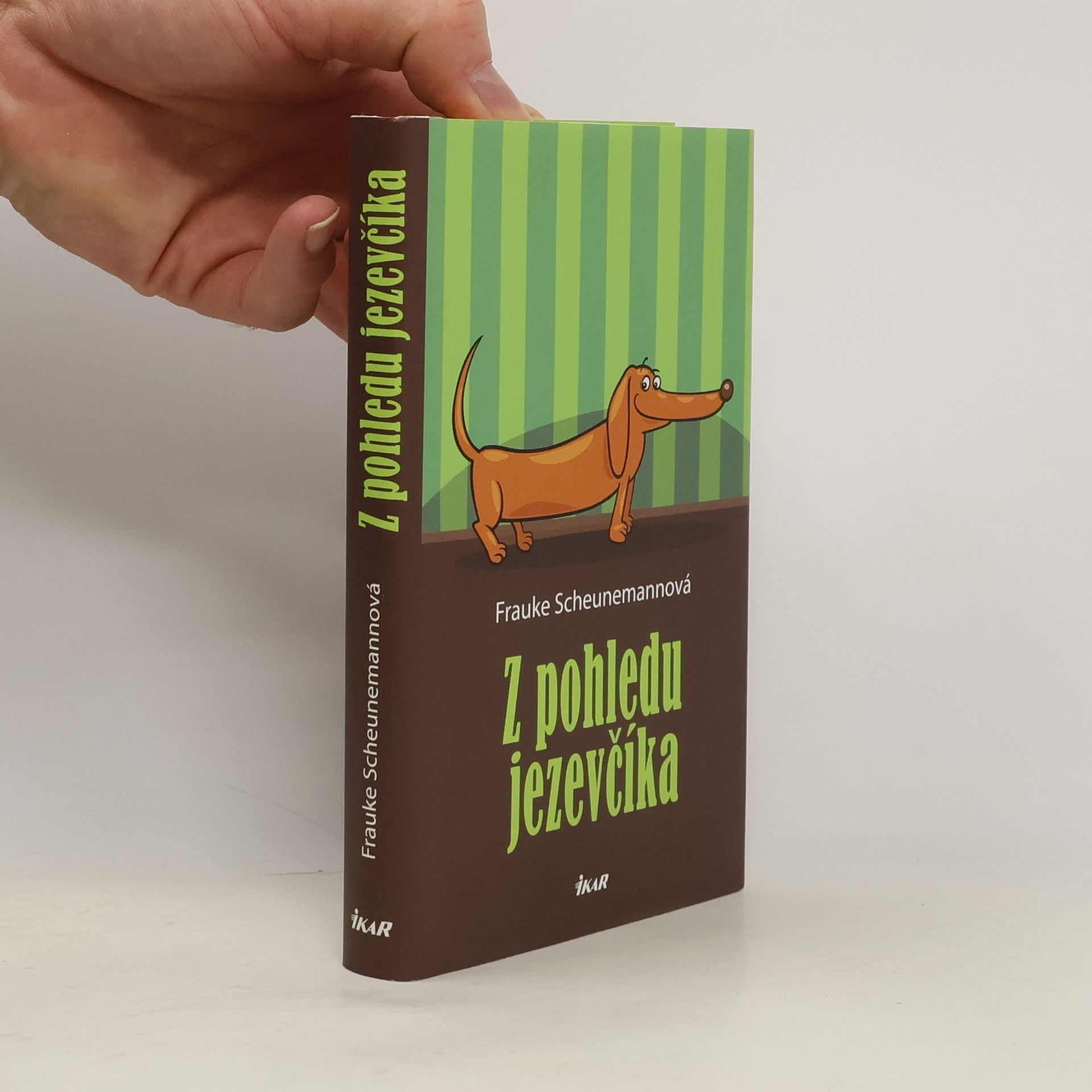 Z pohledu jezevčíka