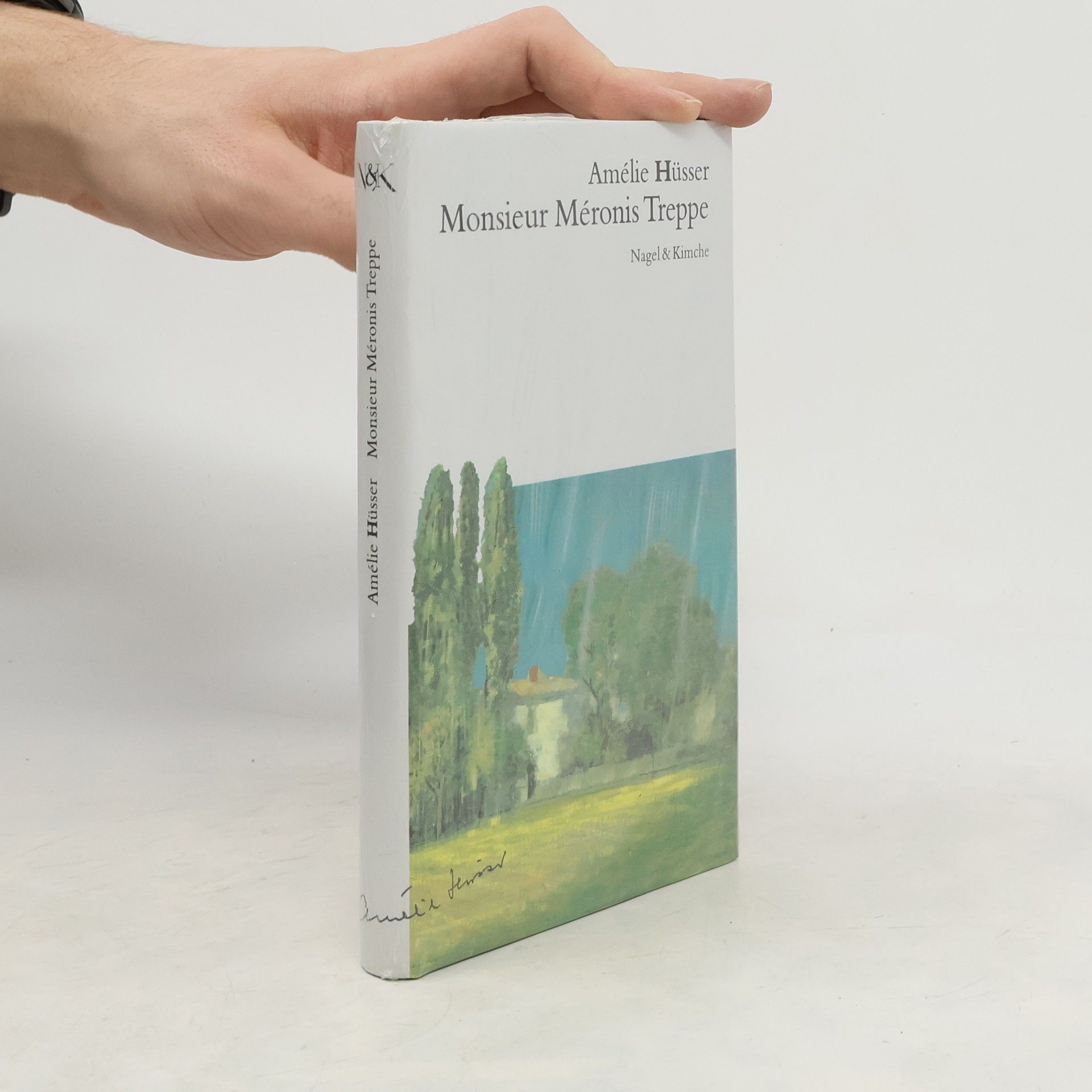 Ami Frossard Monsieur Méronis Treppe