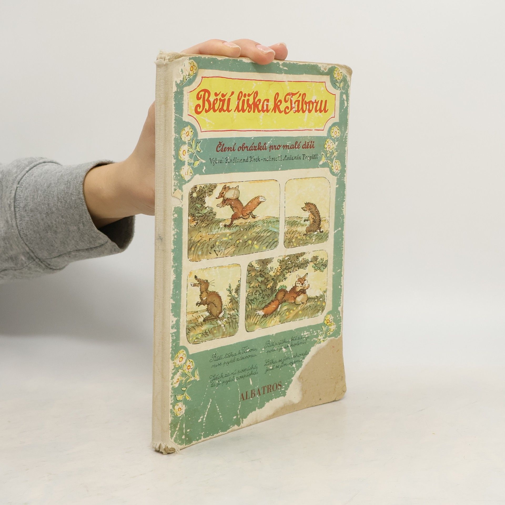 Běží liška k Táboru