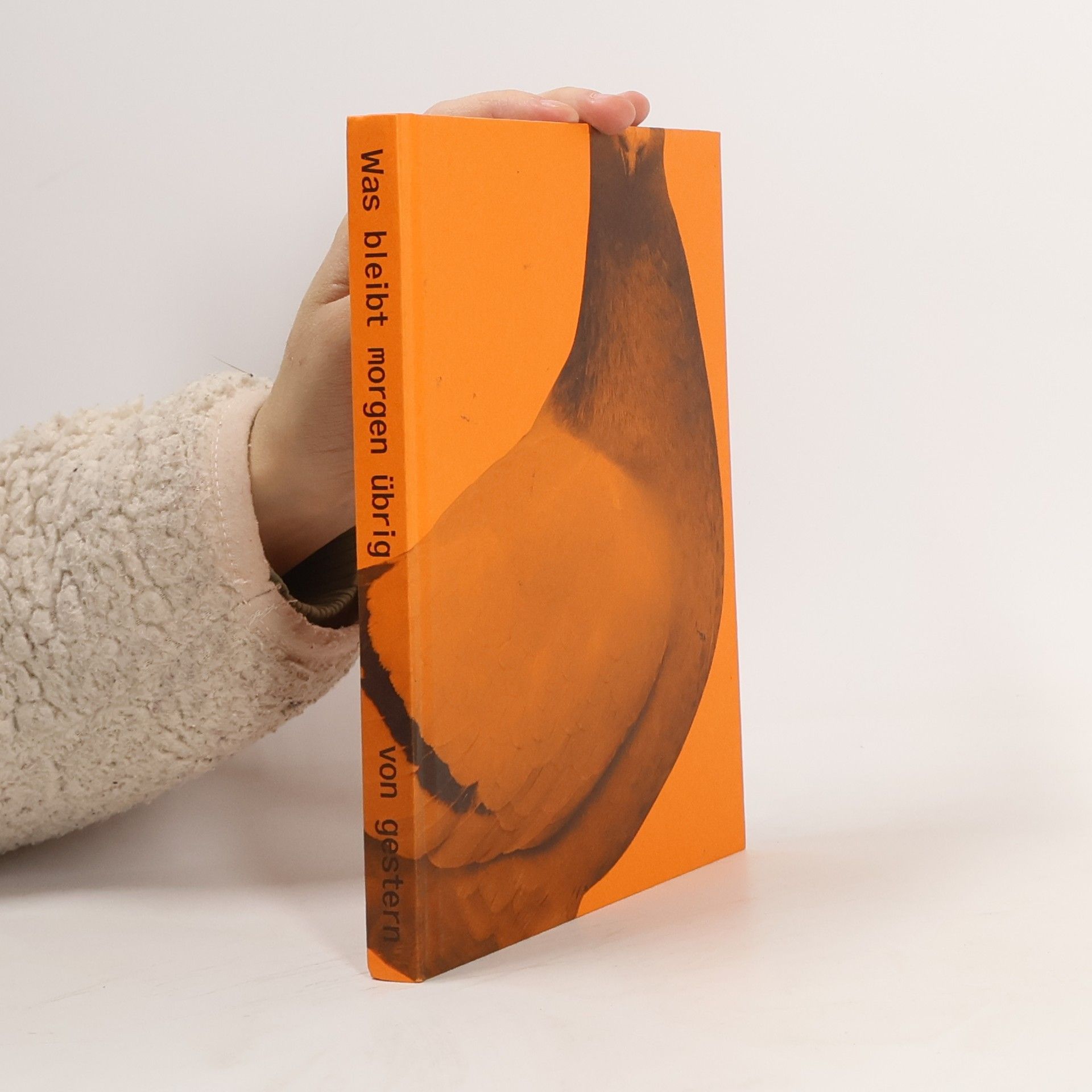 Bettina Brotbek Was bleibt morgen übrig von gestern. 30 Jahre Werkraum Warteck pp