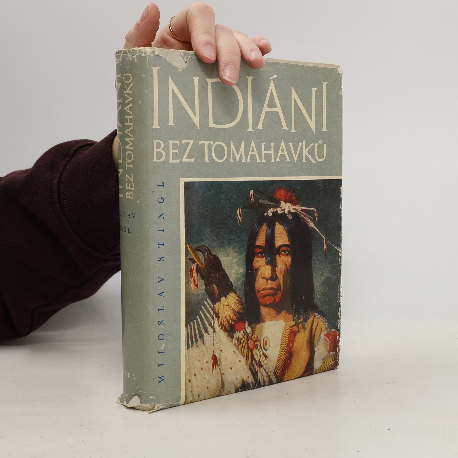 Miloslav Stingl Indiáni bez tomahavků