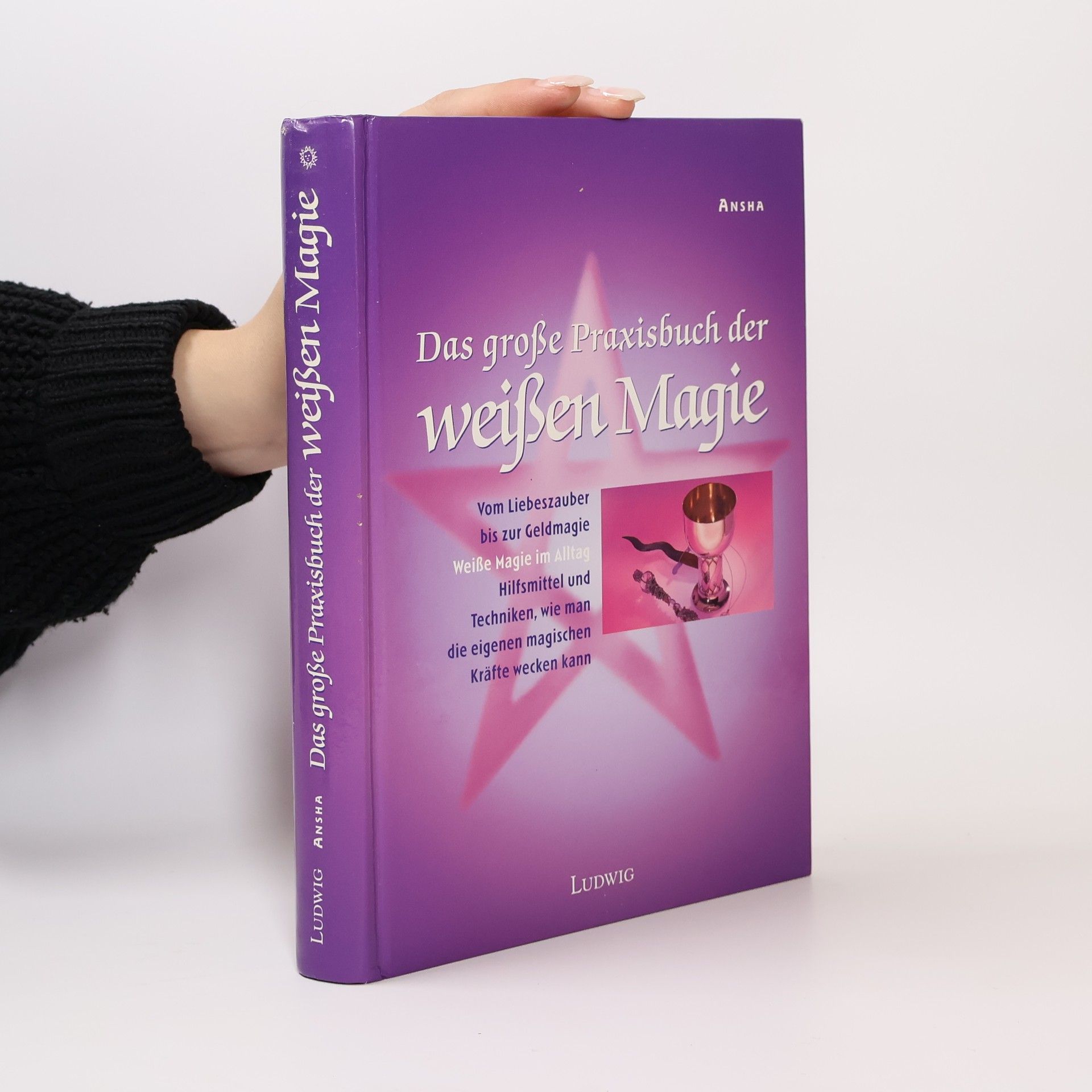 Das große Praxisbuch der weißen Magie