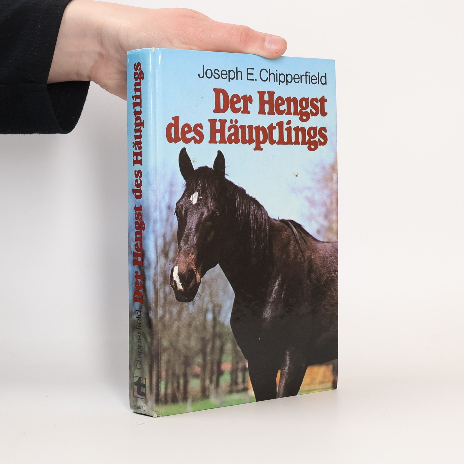 Joseph E. Chipperfield Der Hengst des Häuptlings