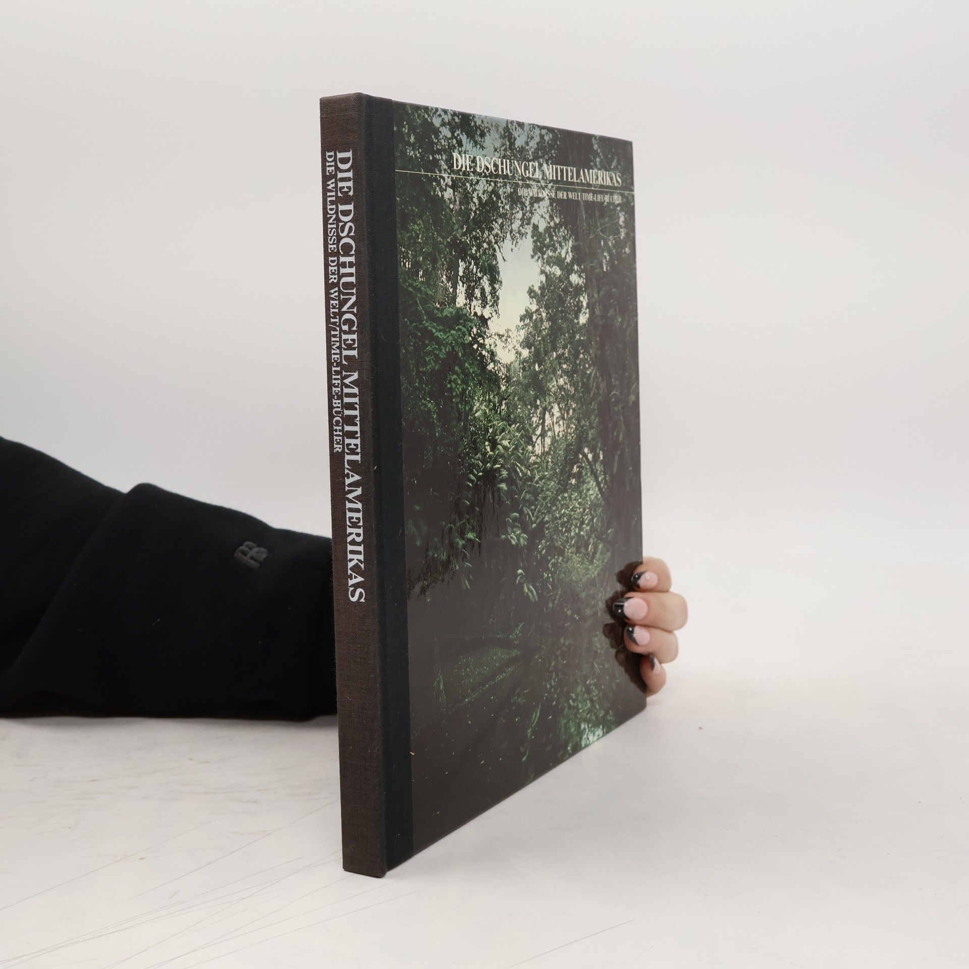 Die Dschungel Mittelamerikas