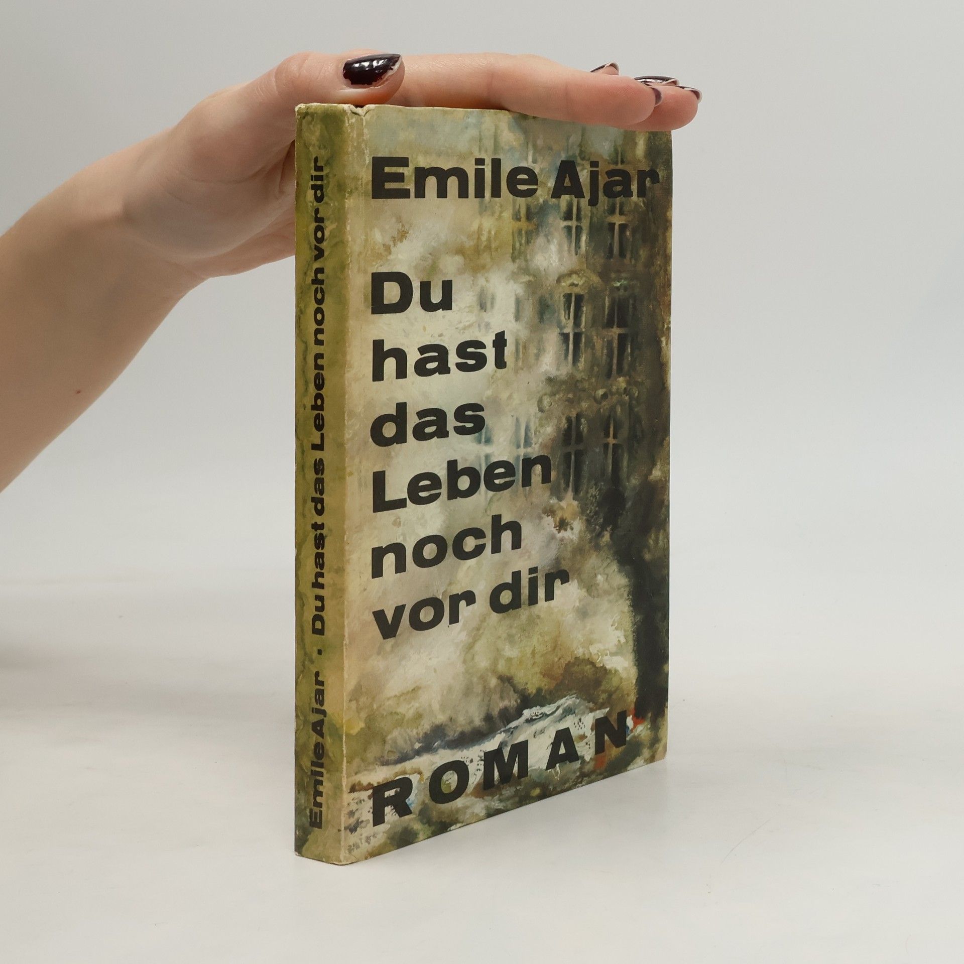 Romain Gary Du hast das Leben vor dir