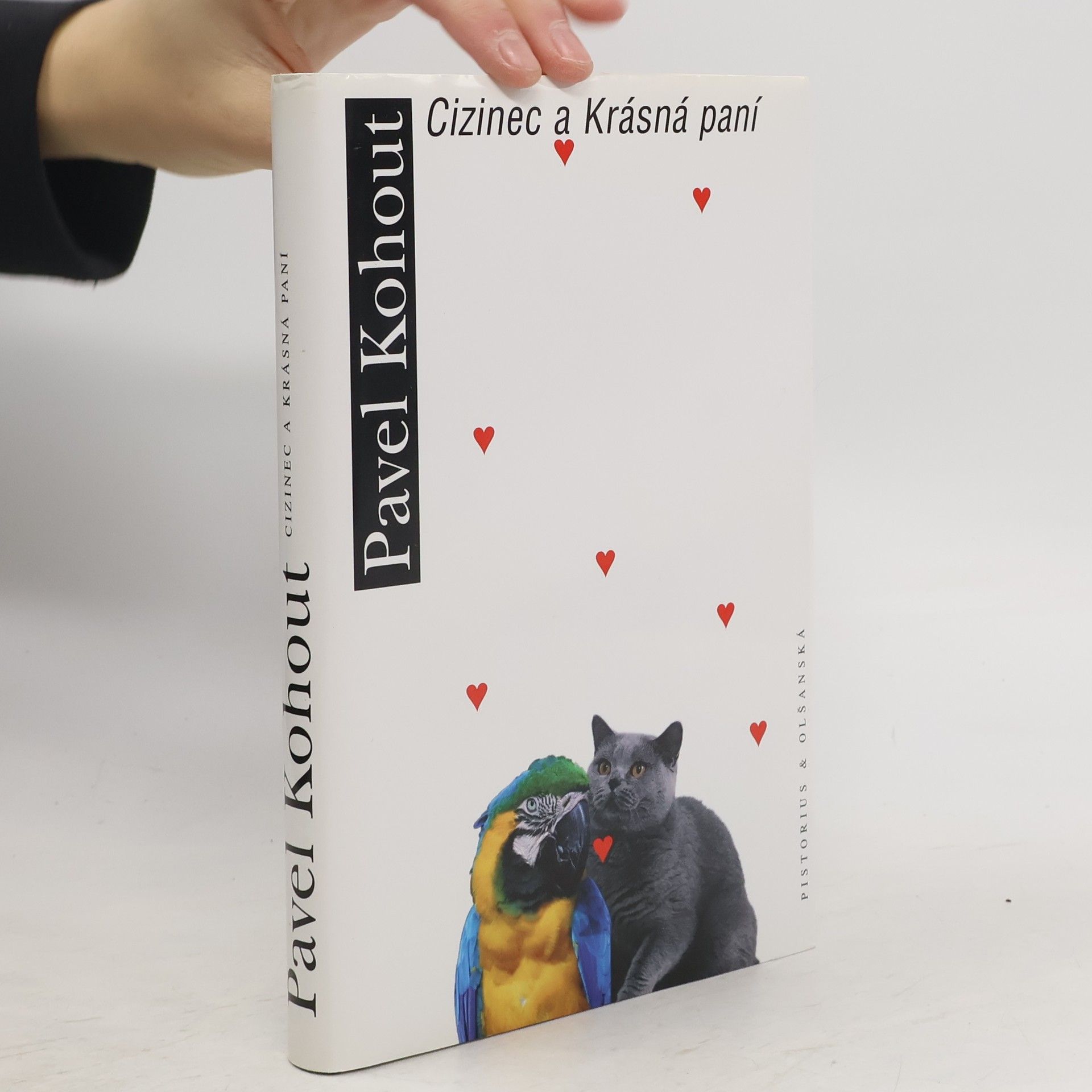 Pavel Kohout Cizinec a krásná paní