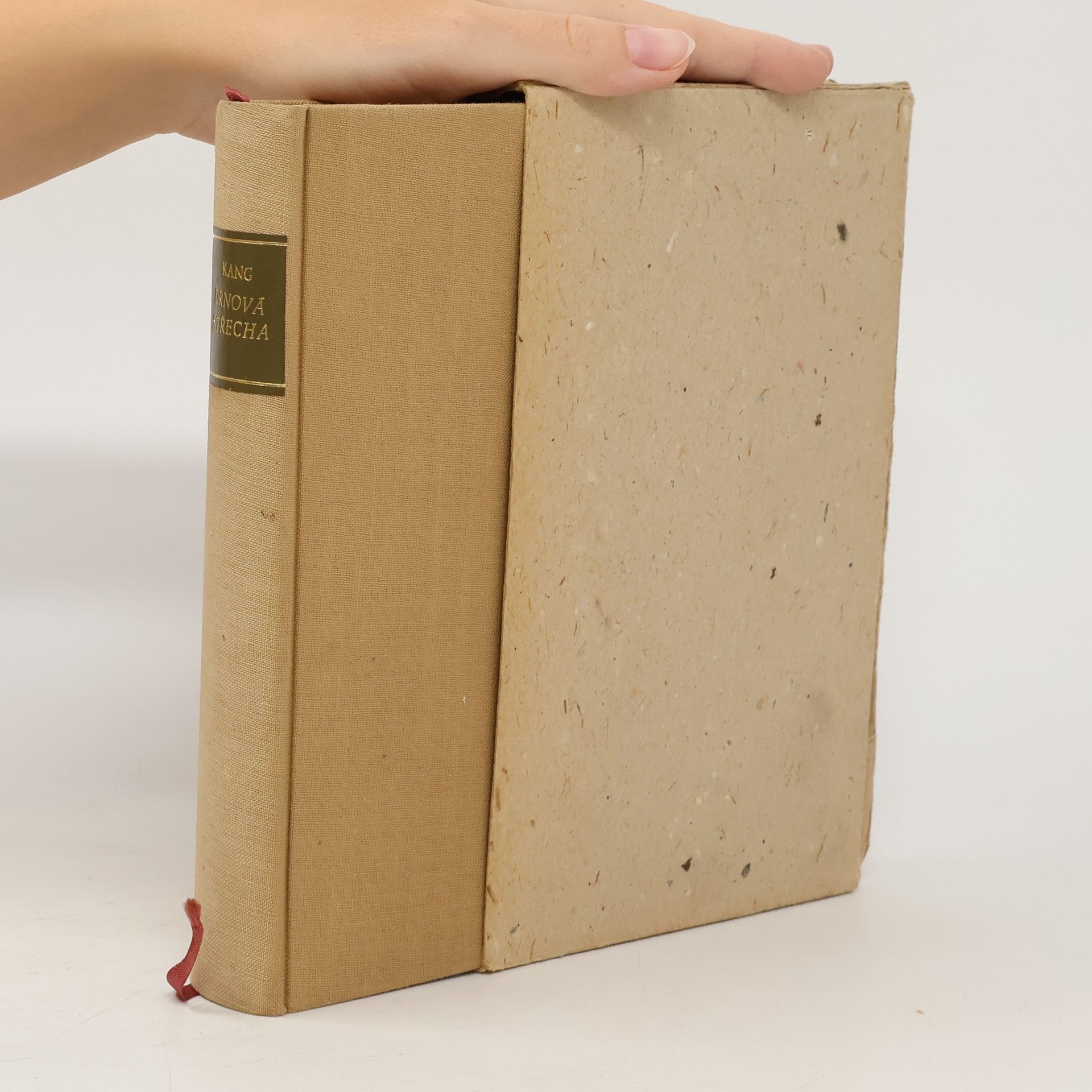 Younghill Kang Drnová střecha