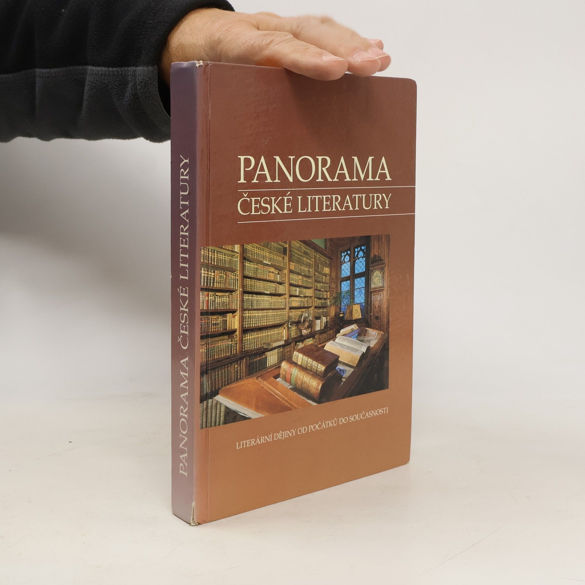 Kolektiv autorů Panorama české literatury. Literární dějiny od počátků do současnosti