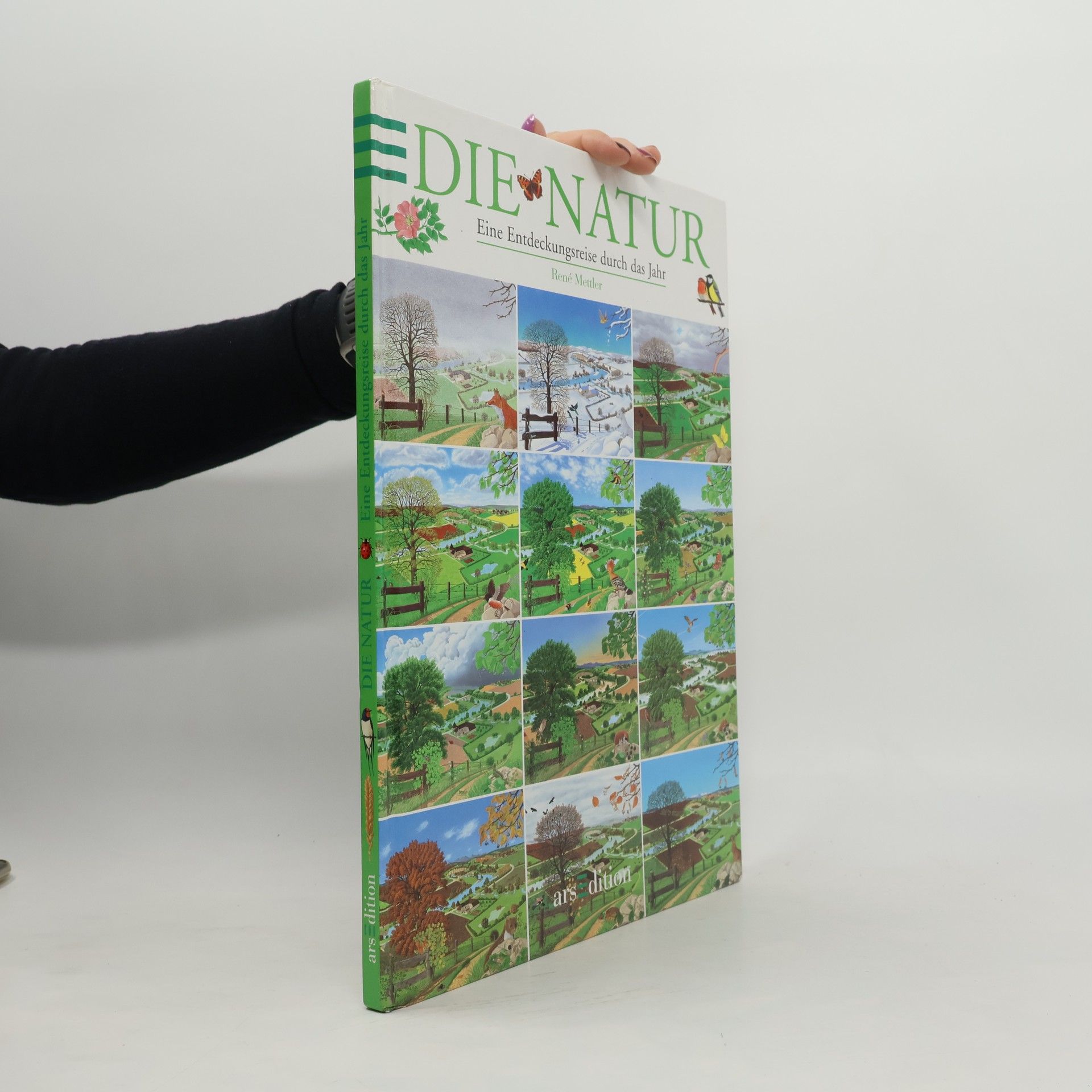 Rene Mettler Die Natur