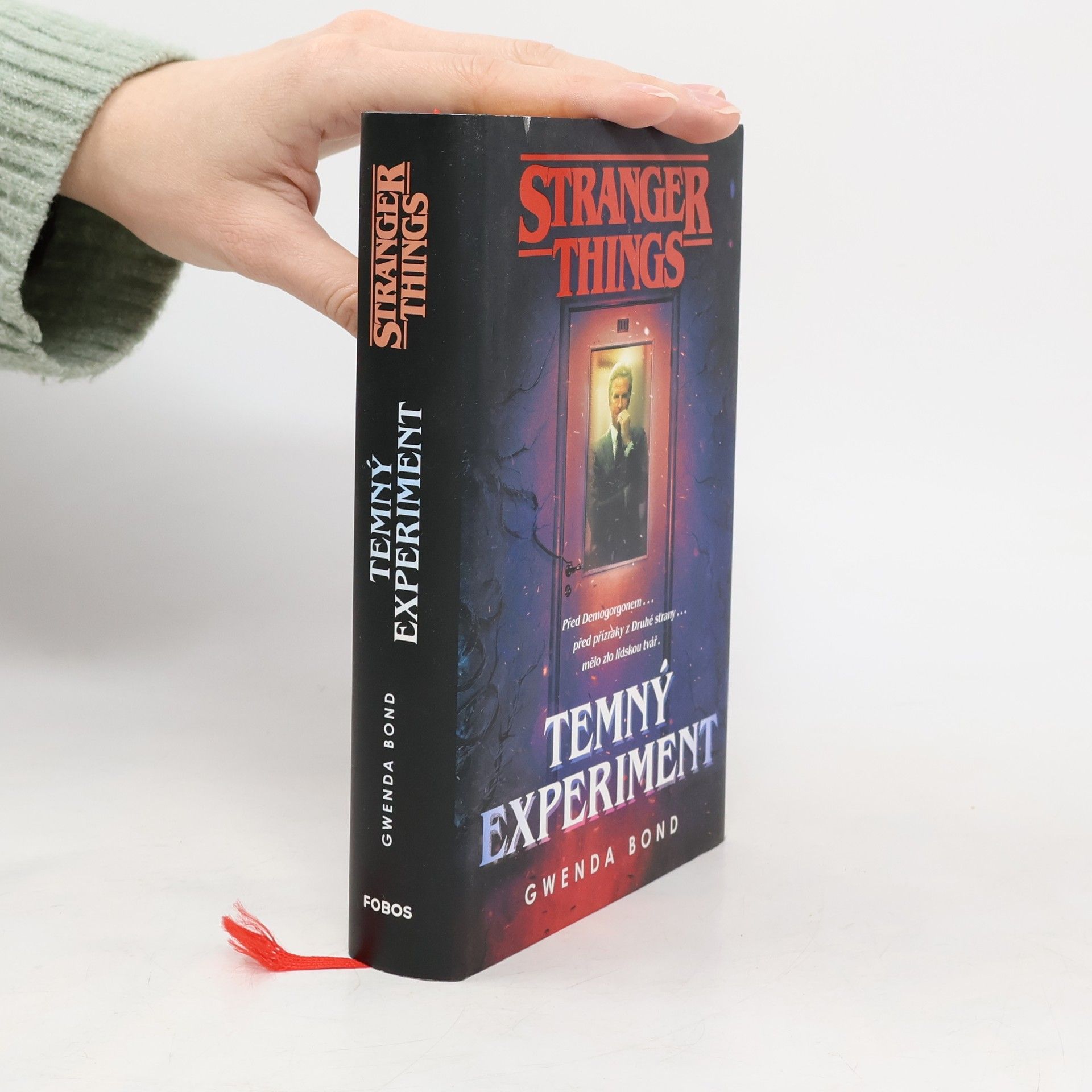 Stranger Things. Temný experiment