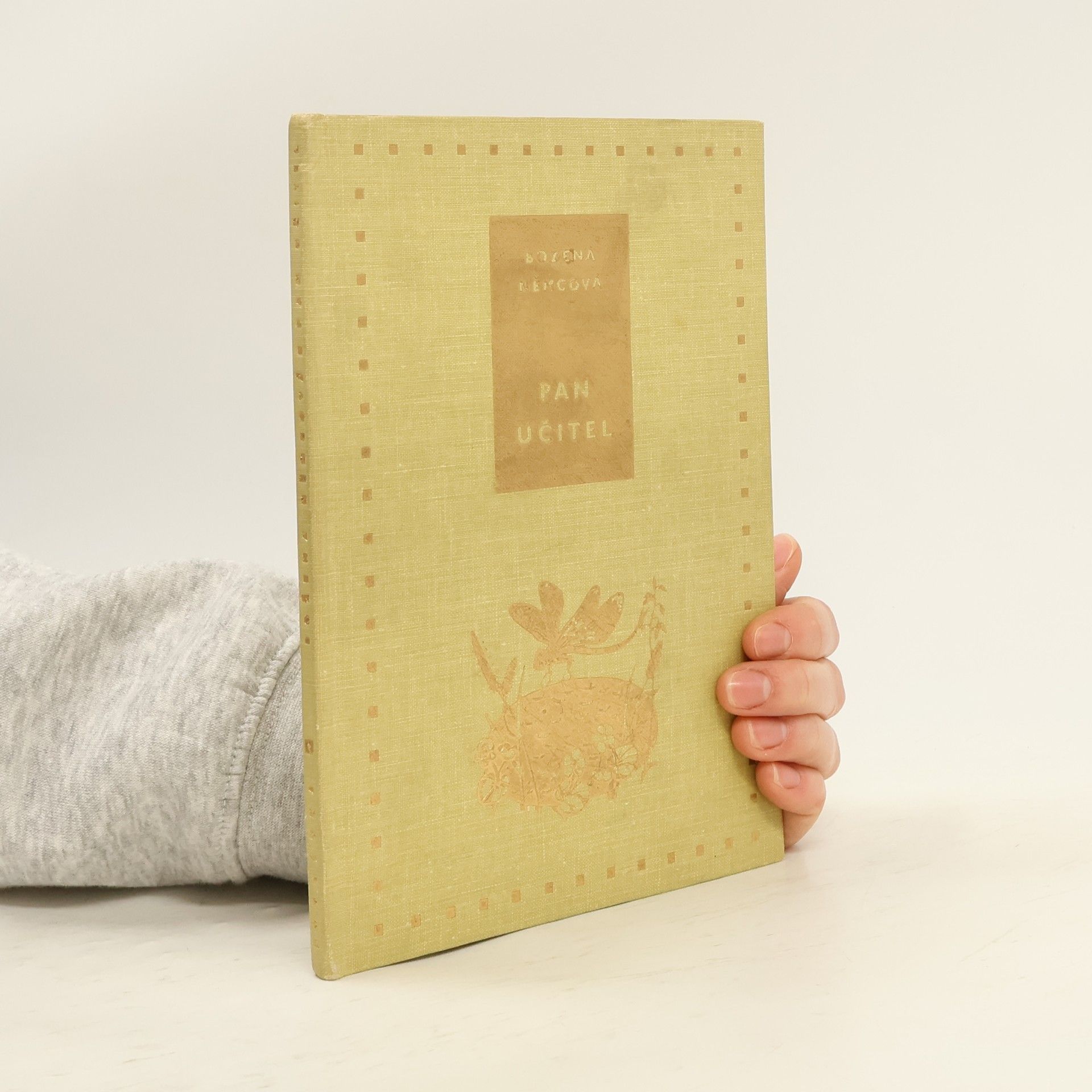 Božena Němcová Pan učitel