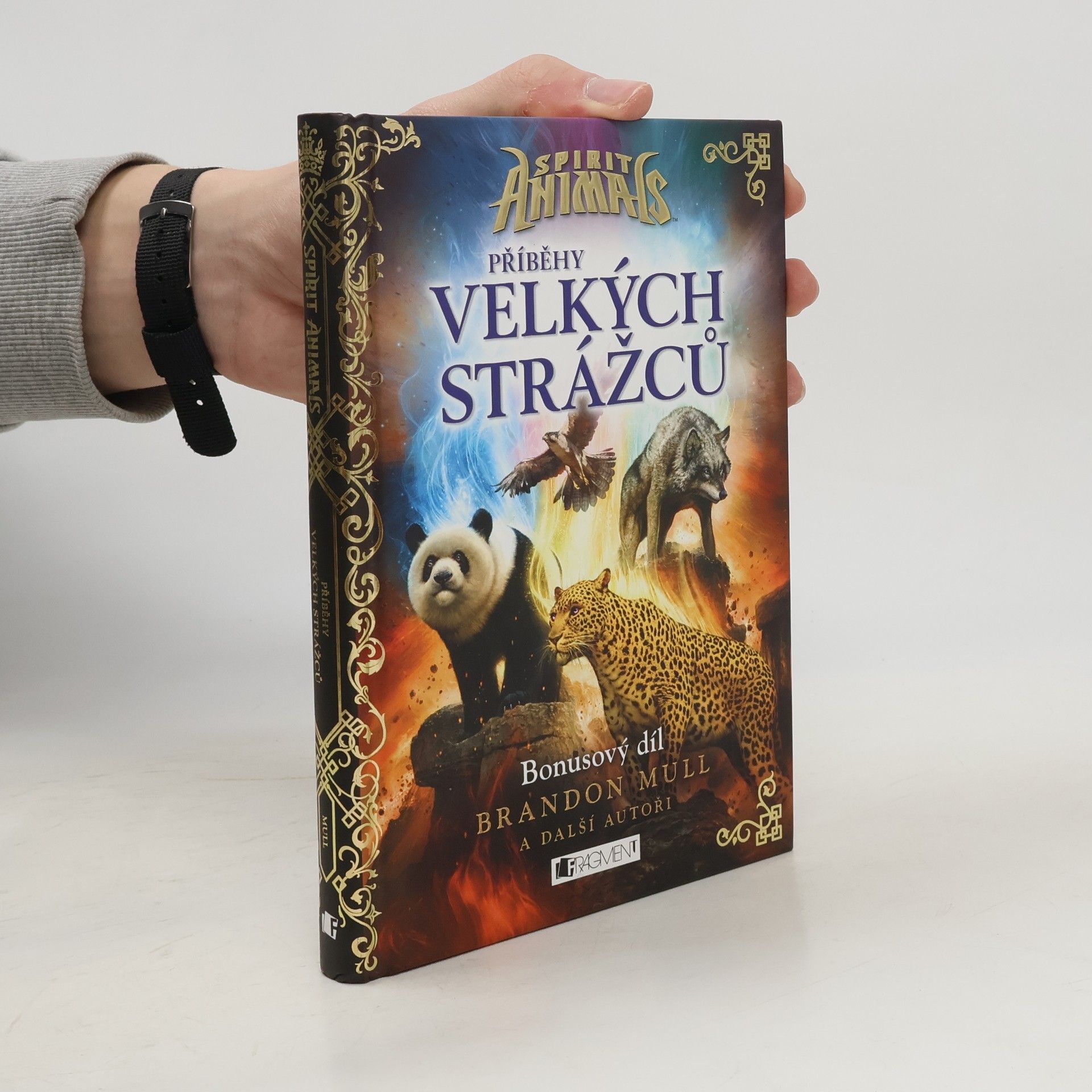 Příběhy Velkých strážců