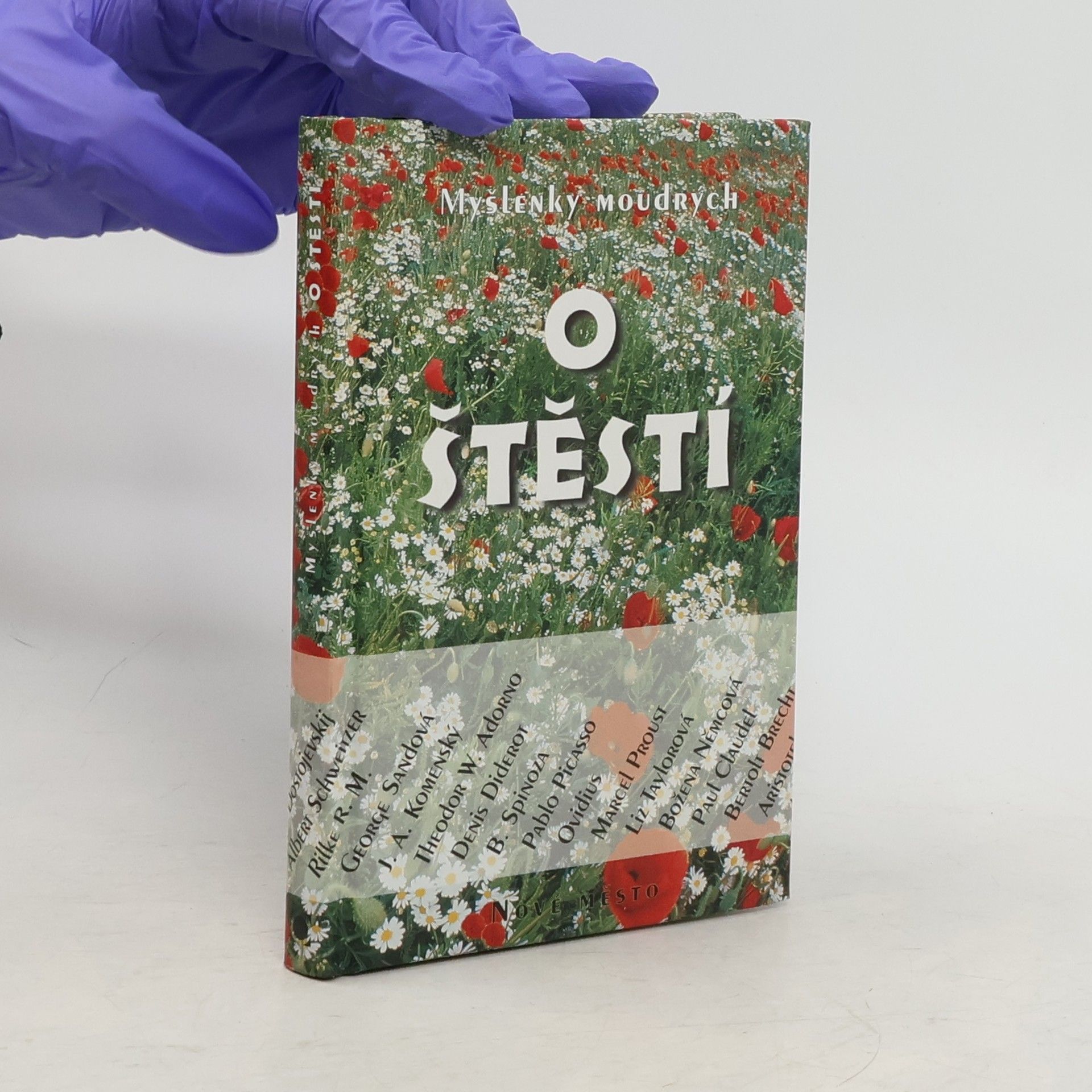 Myšlenky moudrých o štěstí