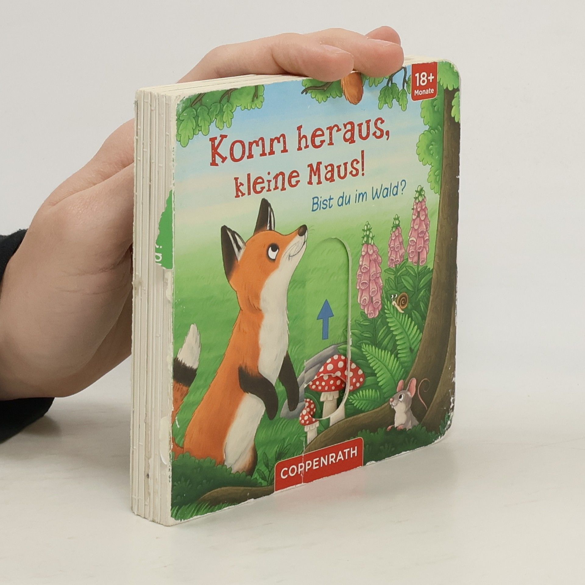 Various authors Komm heraus, kleine Maus!
