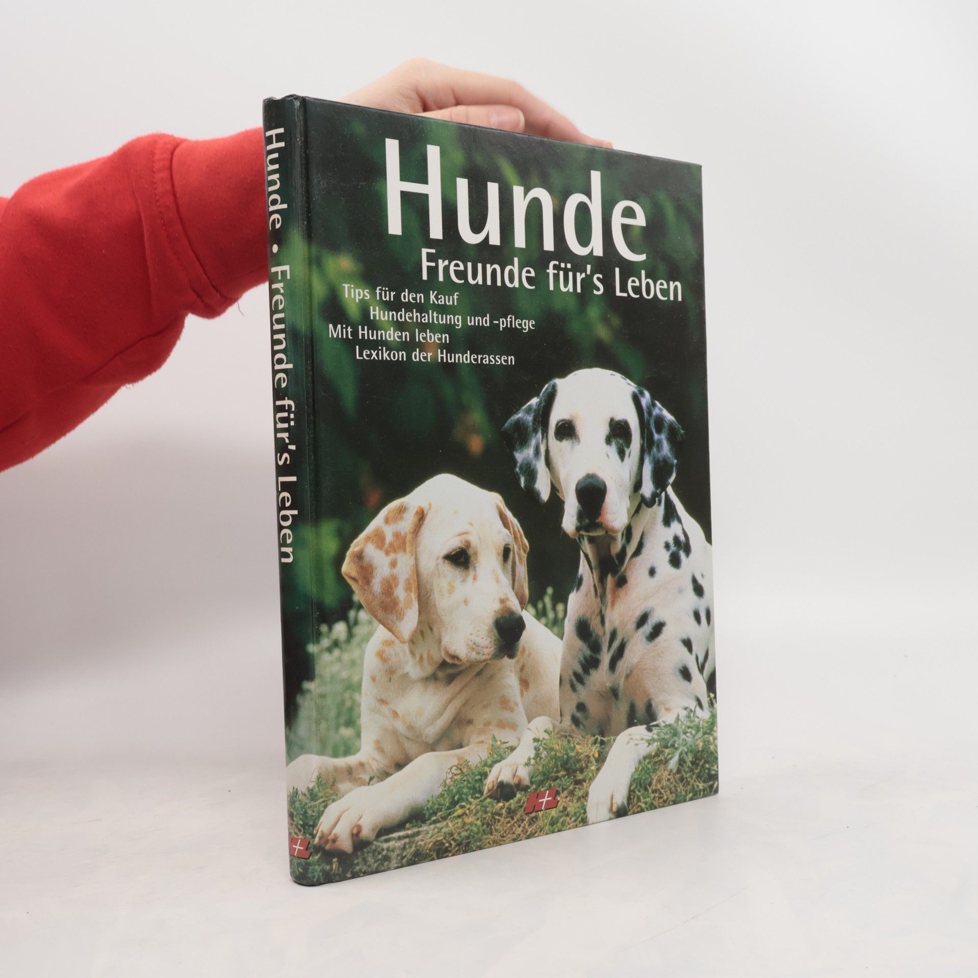 Autorenkollektiv Hunde: Freunde für's Leben